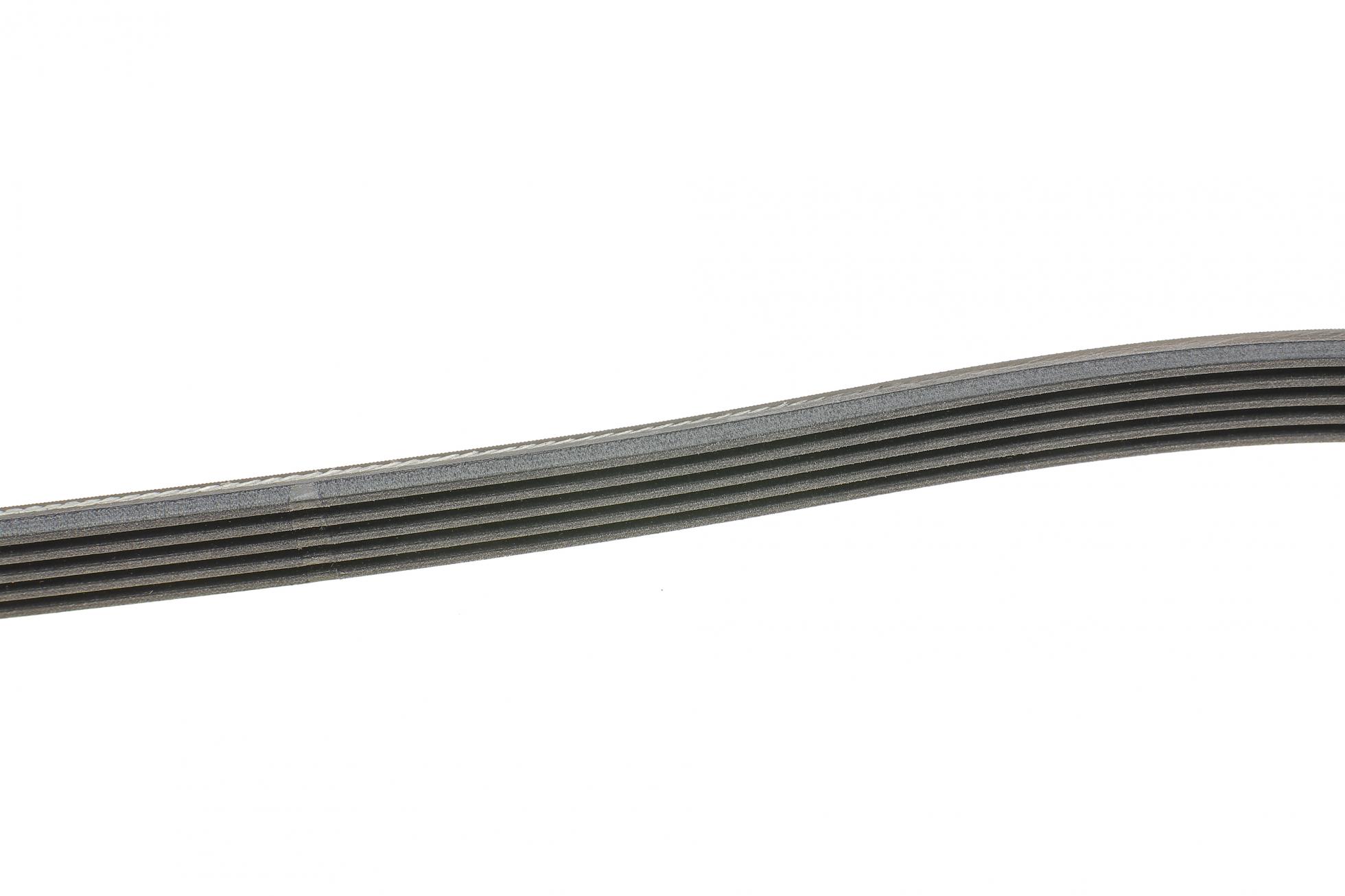 5PK1570 CONTITECH