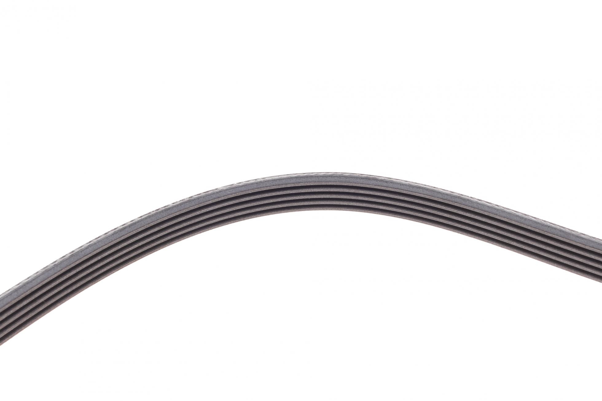 5PK1592 CONTITECH