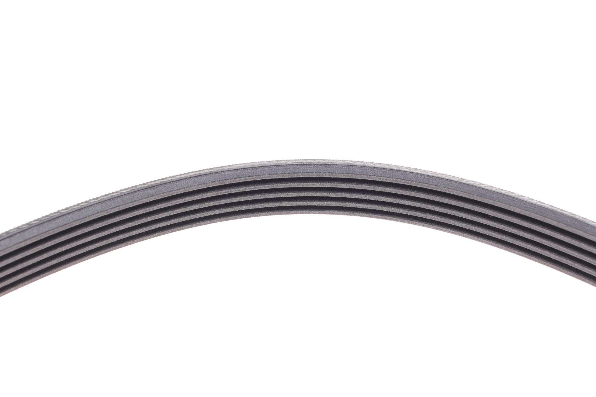 5PK1646 CONTITECH