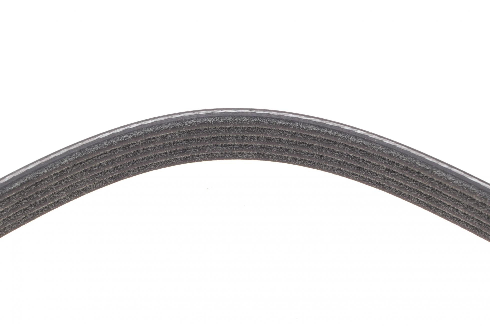5PK1765S DAYCO
