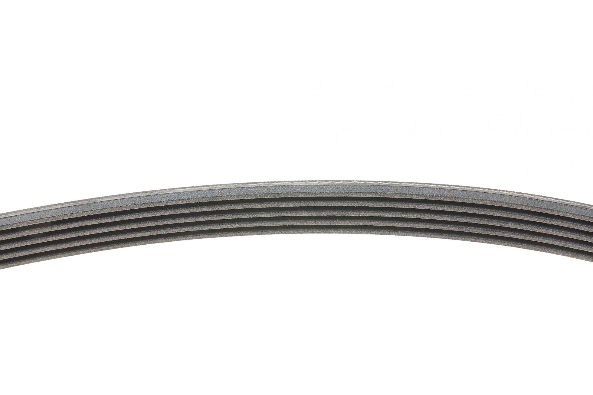 5PK1815 CONTITECH