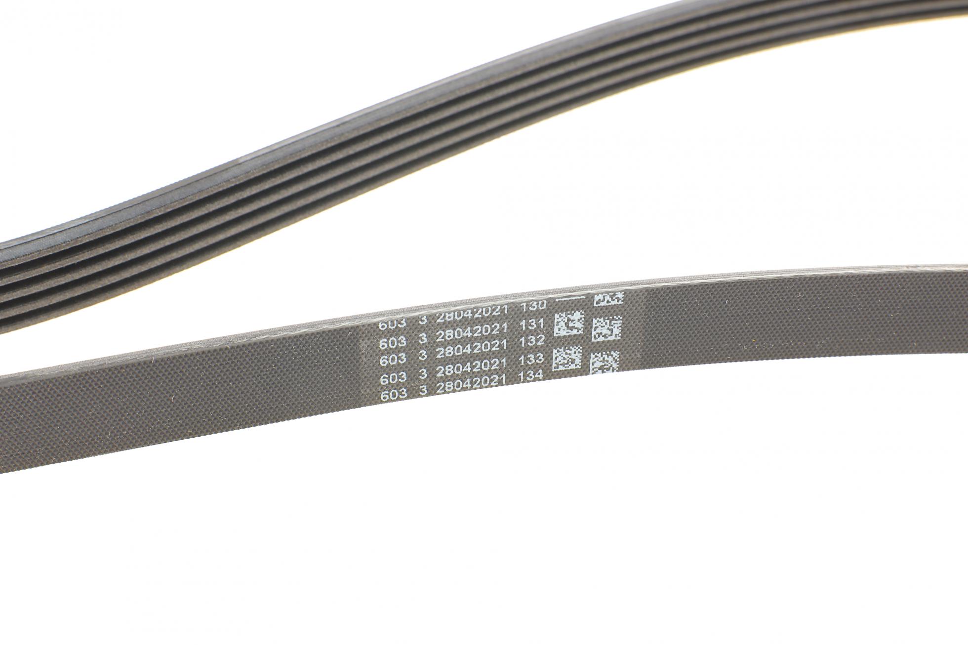 5PK1815 CONTITECH