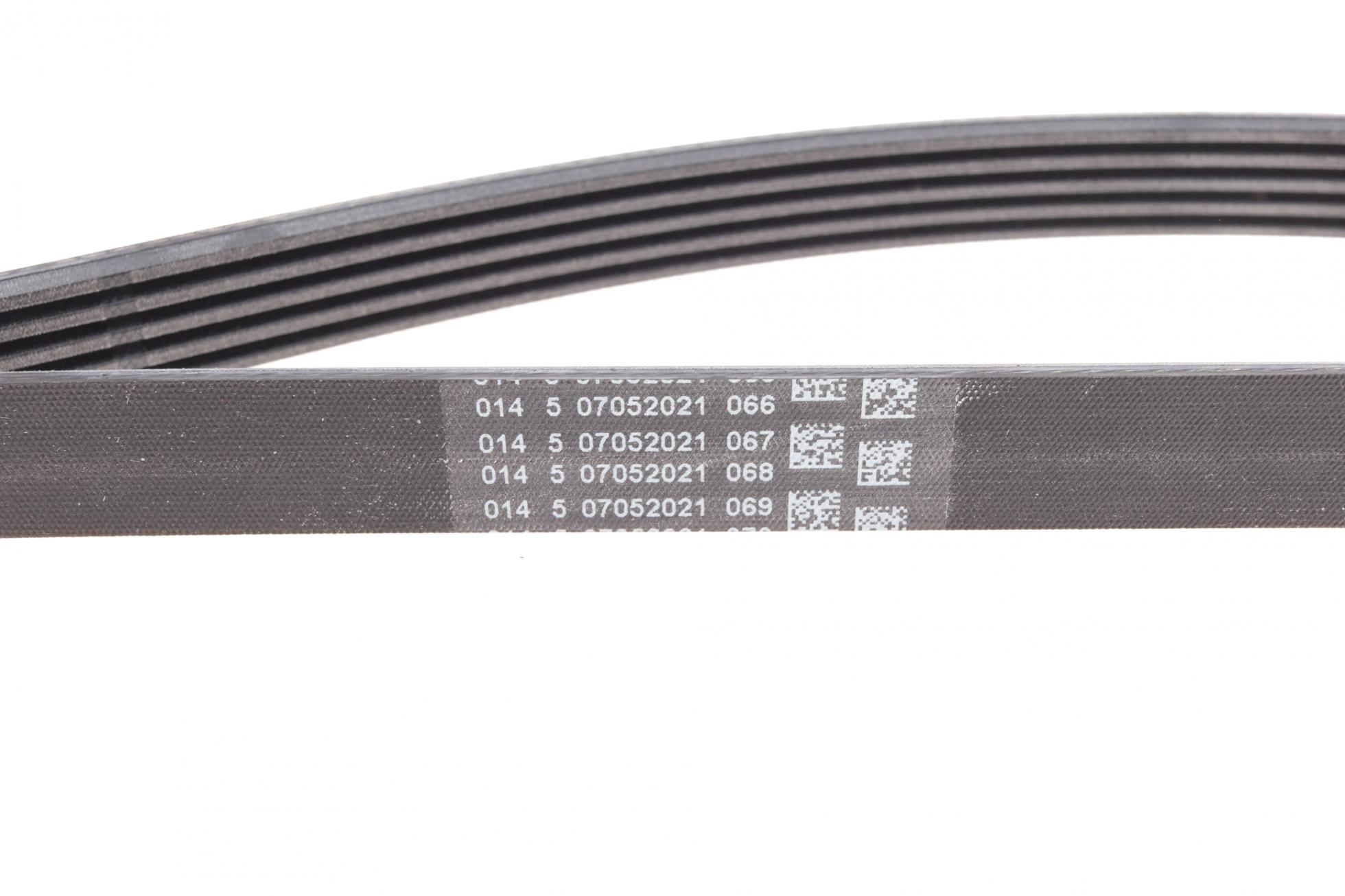 5PK2020 CONTITECH