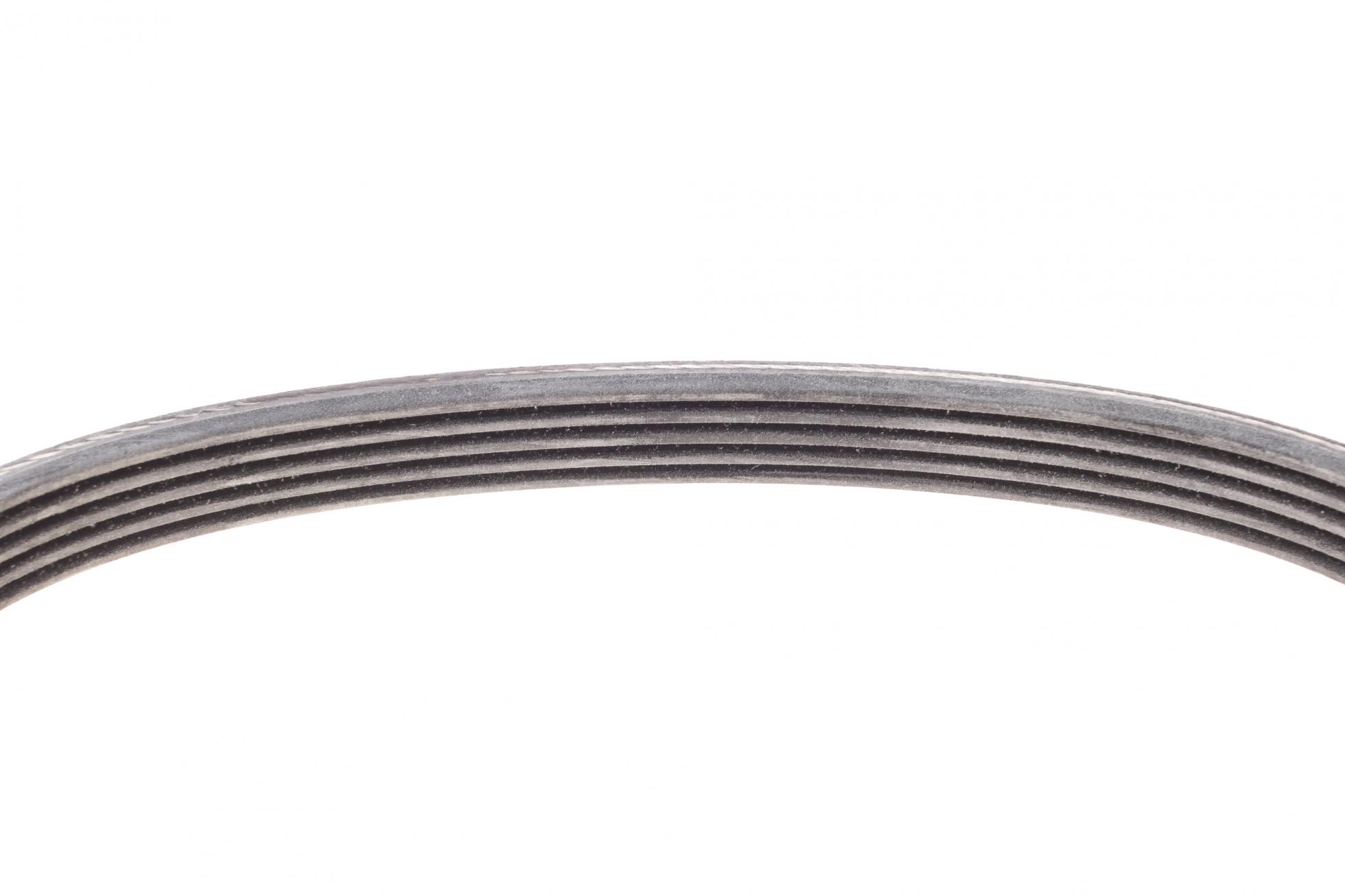 5PK491 CONTITECH