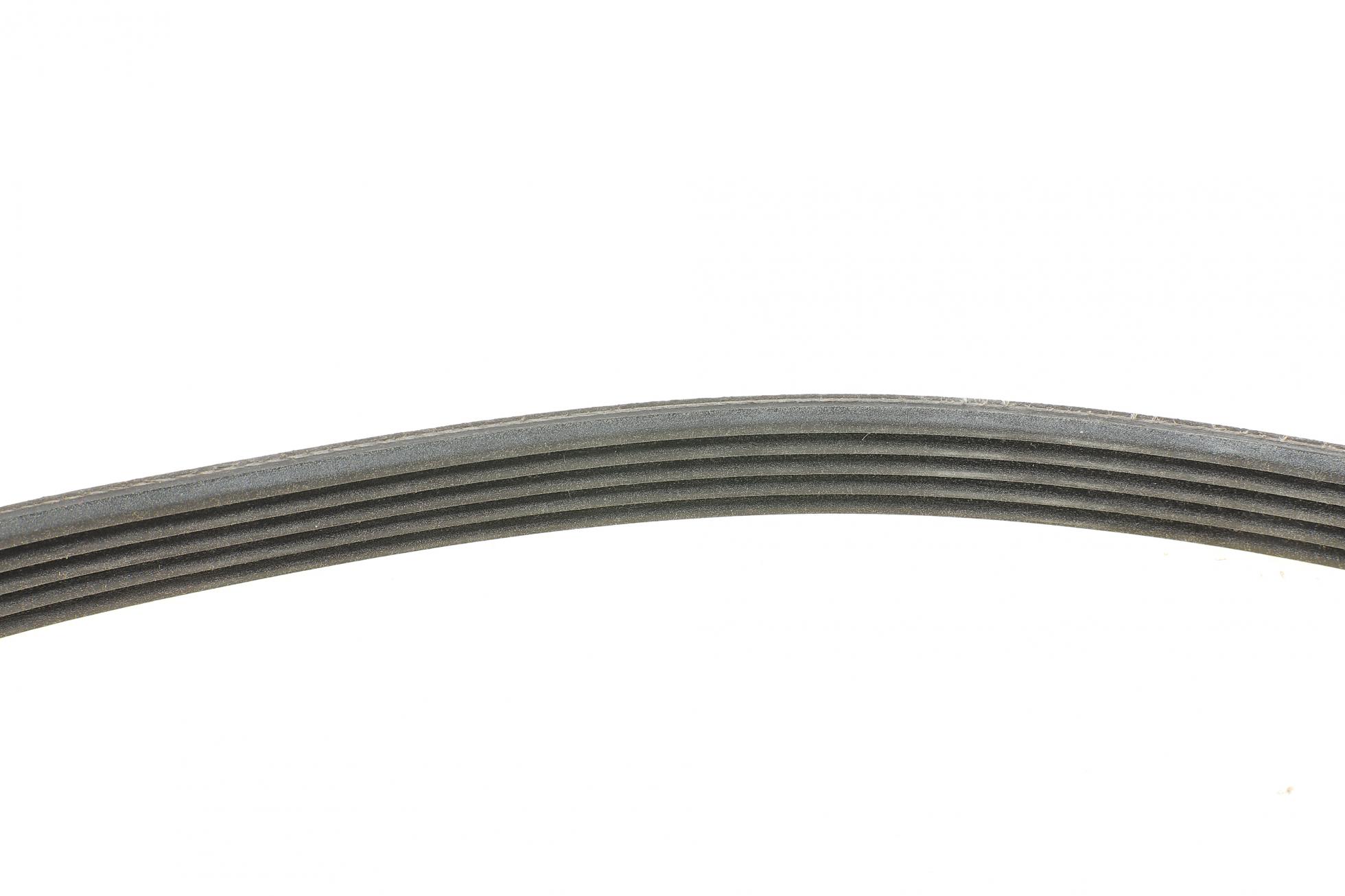 5PK716ELAST CONTITECH