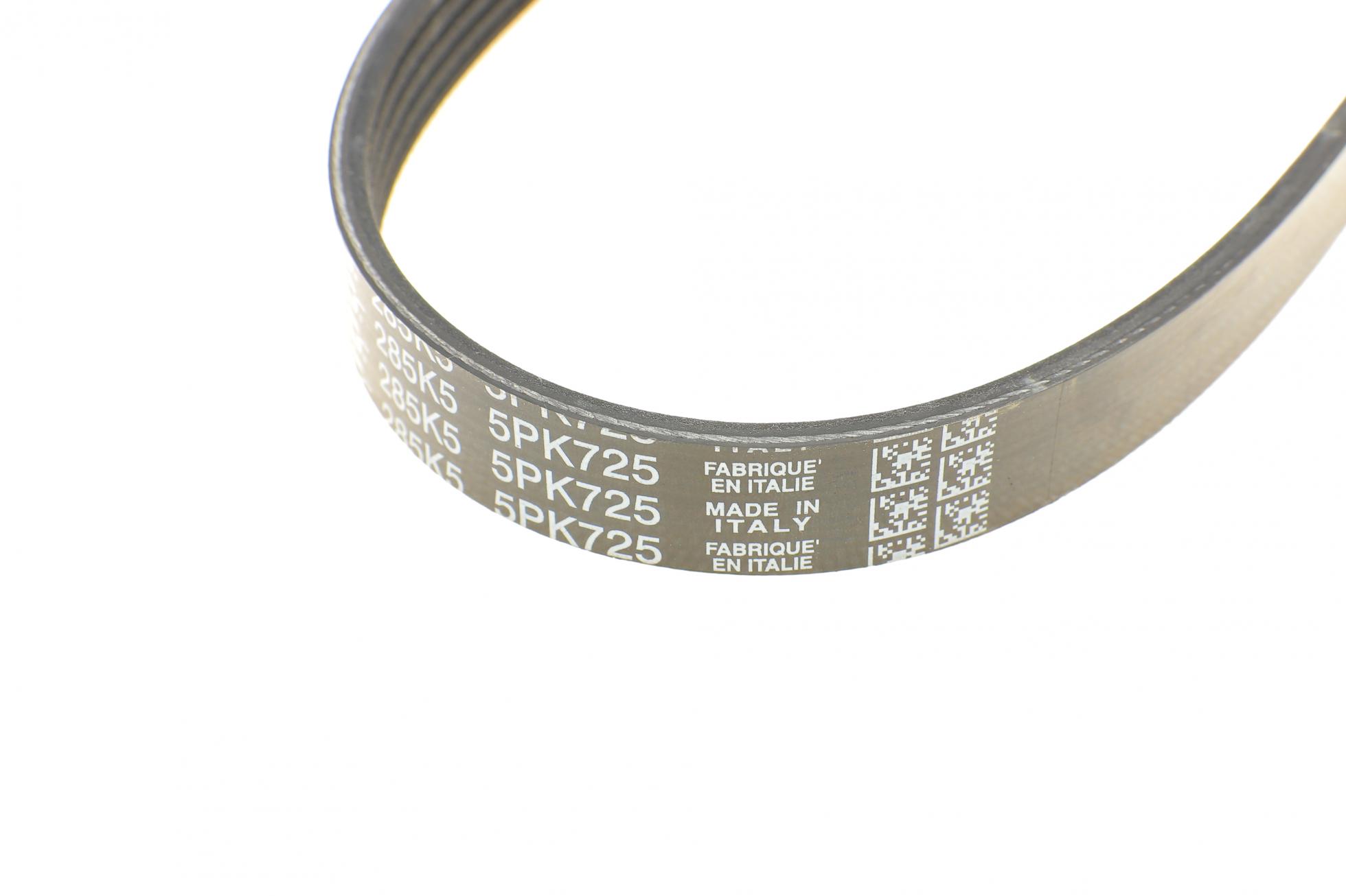 5PK725 DAYCO