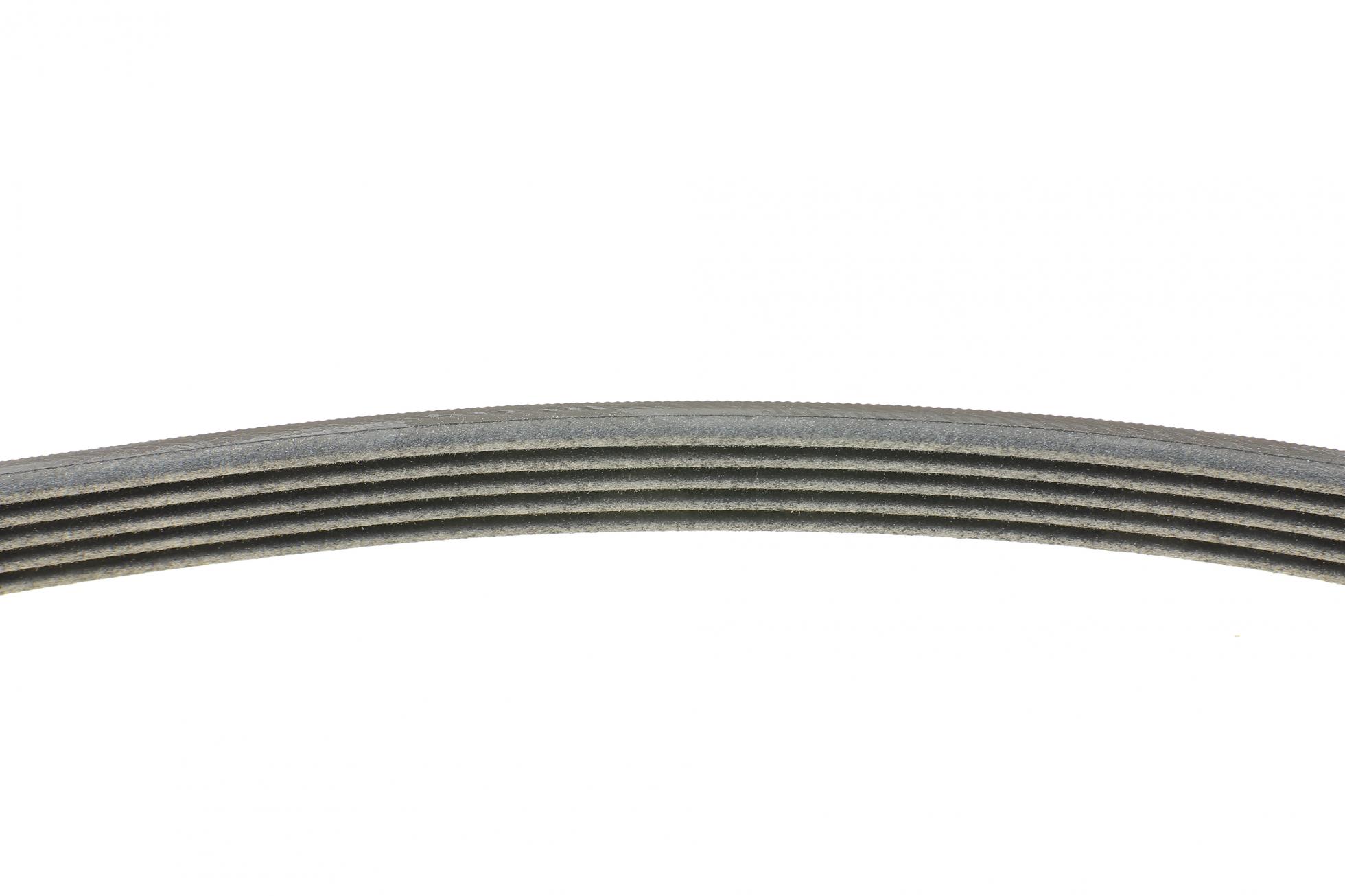 5PK736 CONTITECH