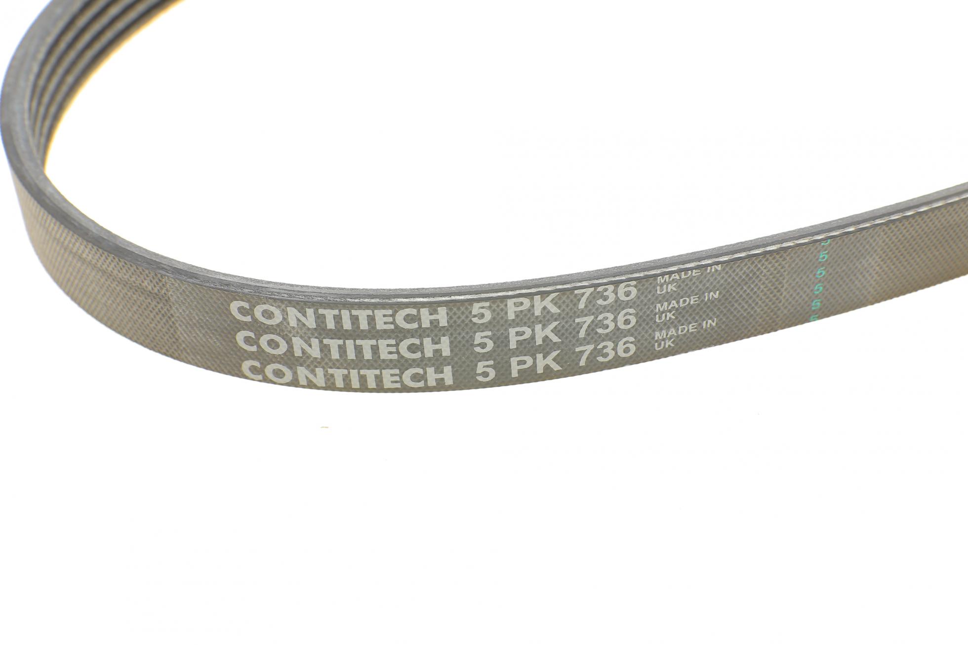 5PK736 CONTITECH