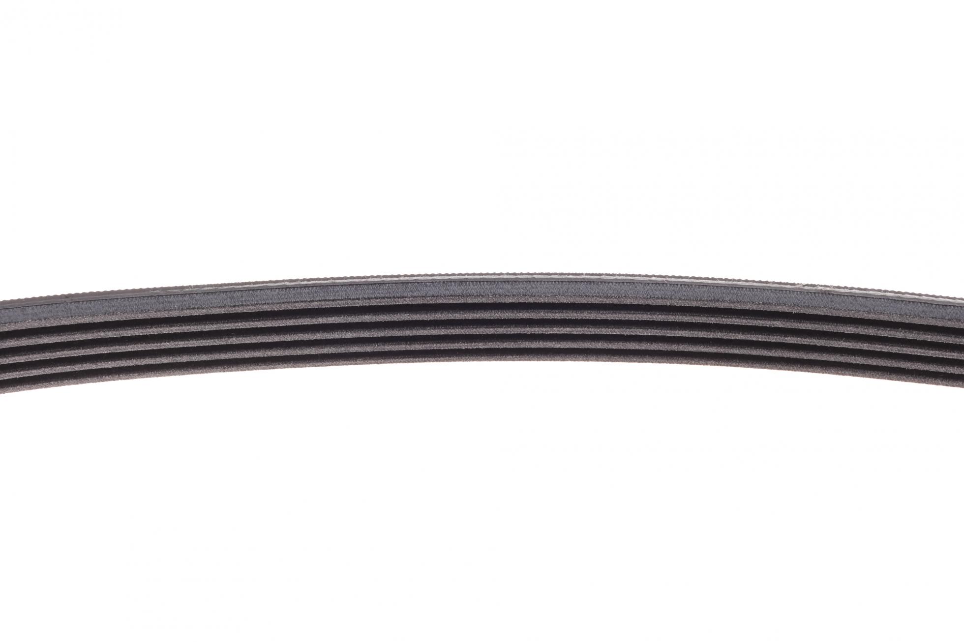 5PK836 CONTITECH