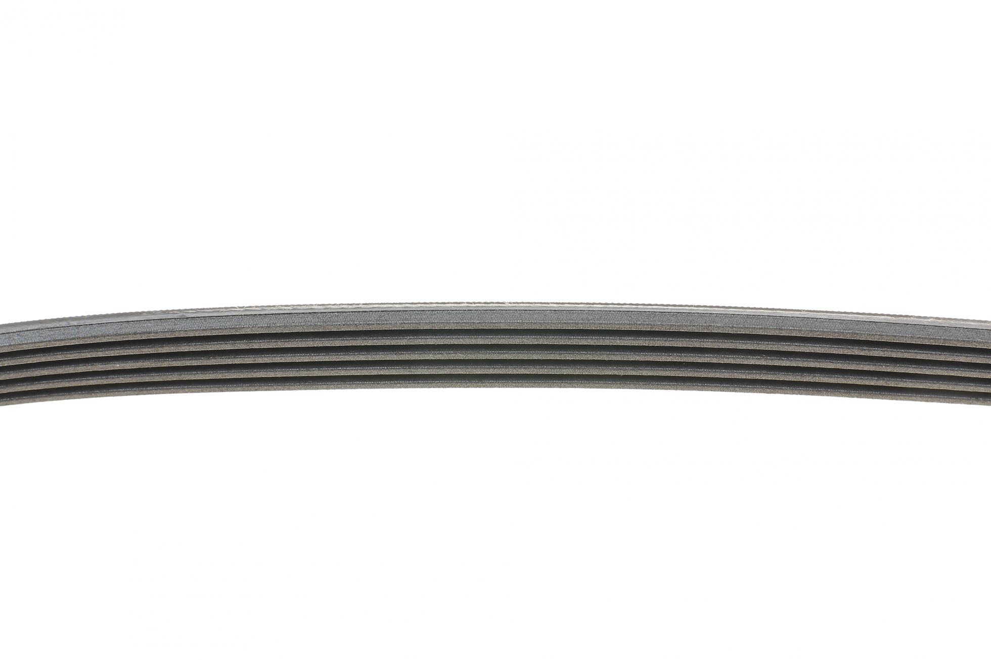 5PK860 CONTITECH