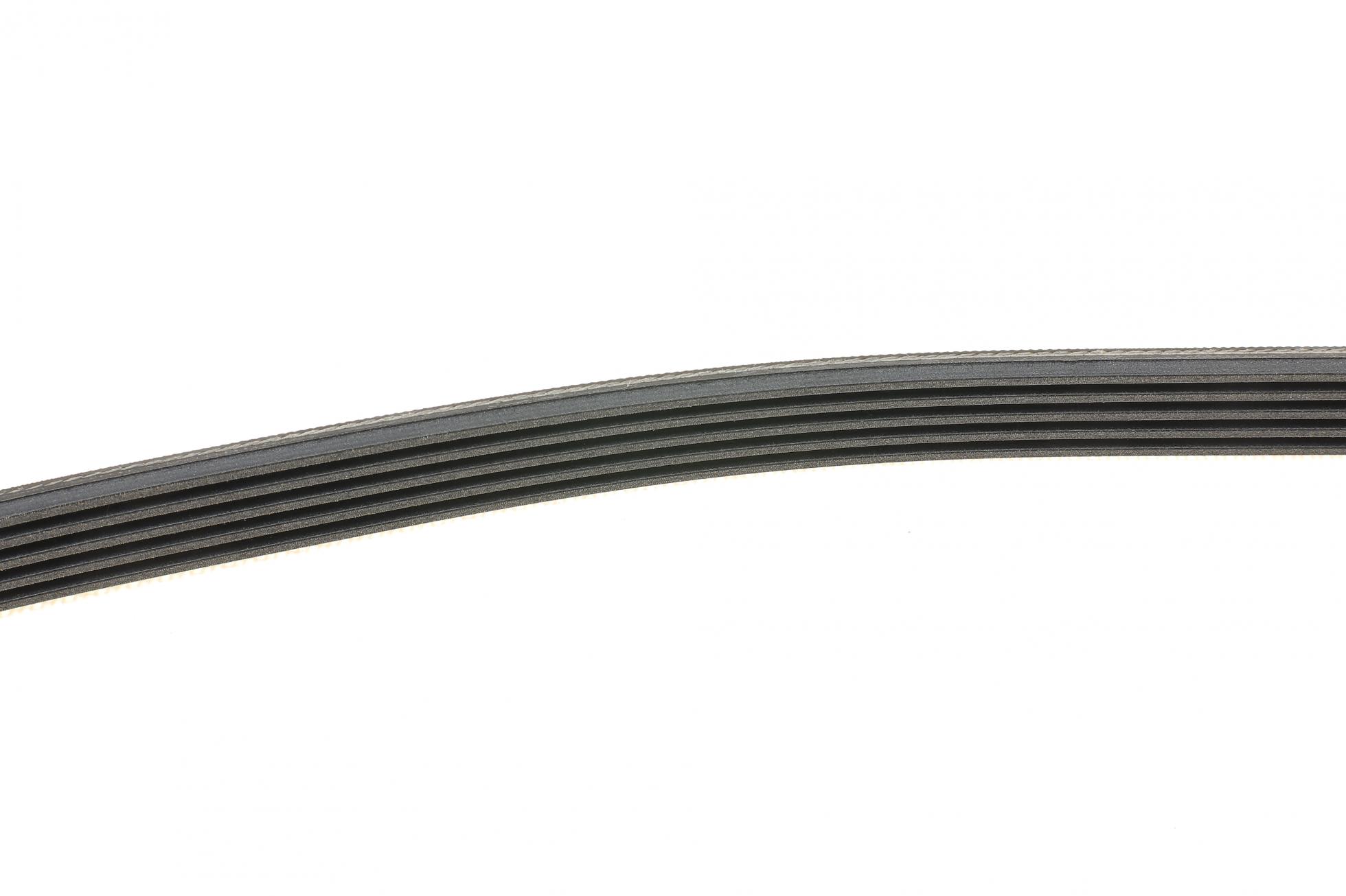 5PK869 CONTITECH