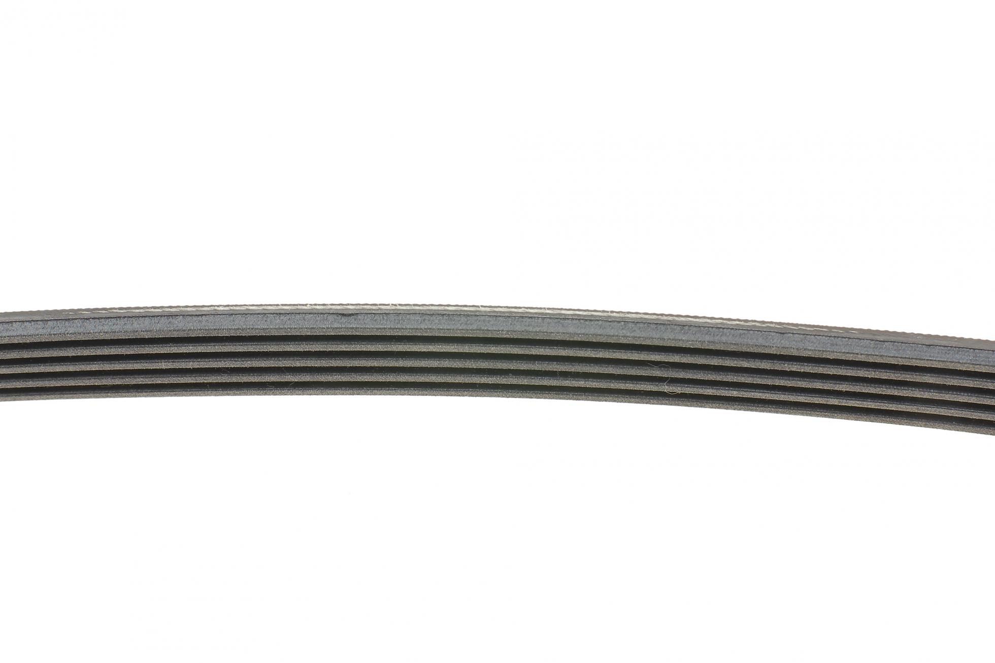 5PK875 CONTITECH