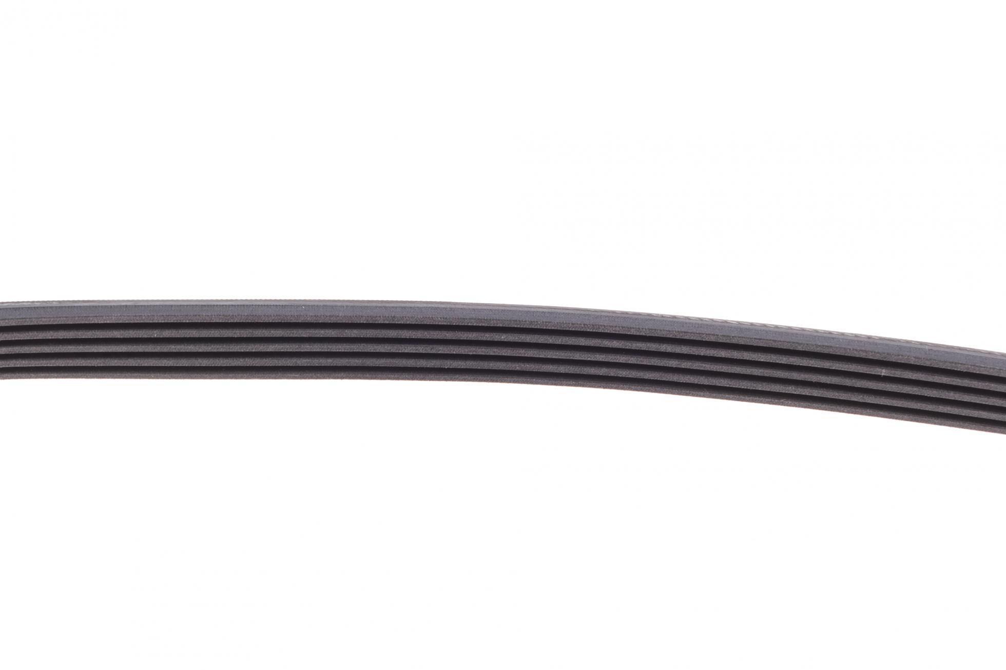 5PK880 CONTITECH