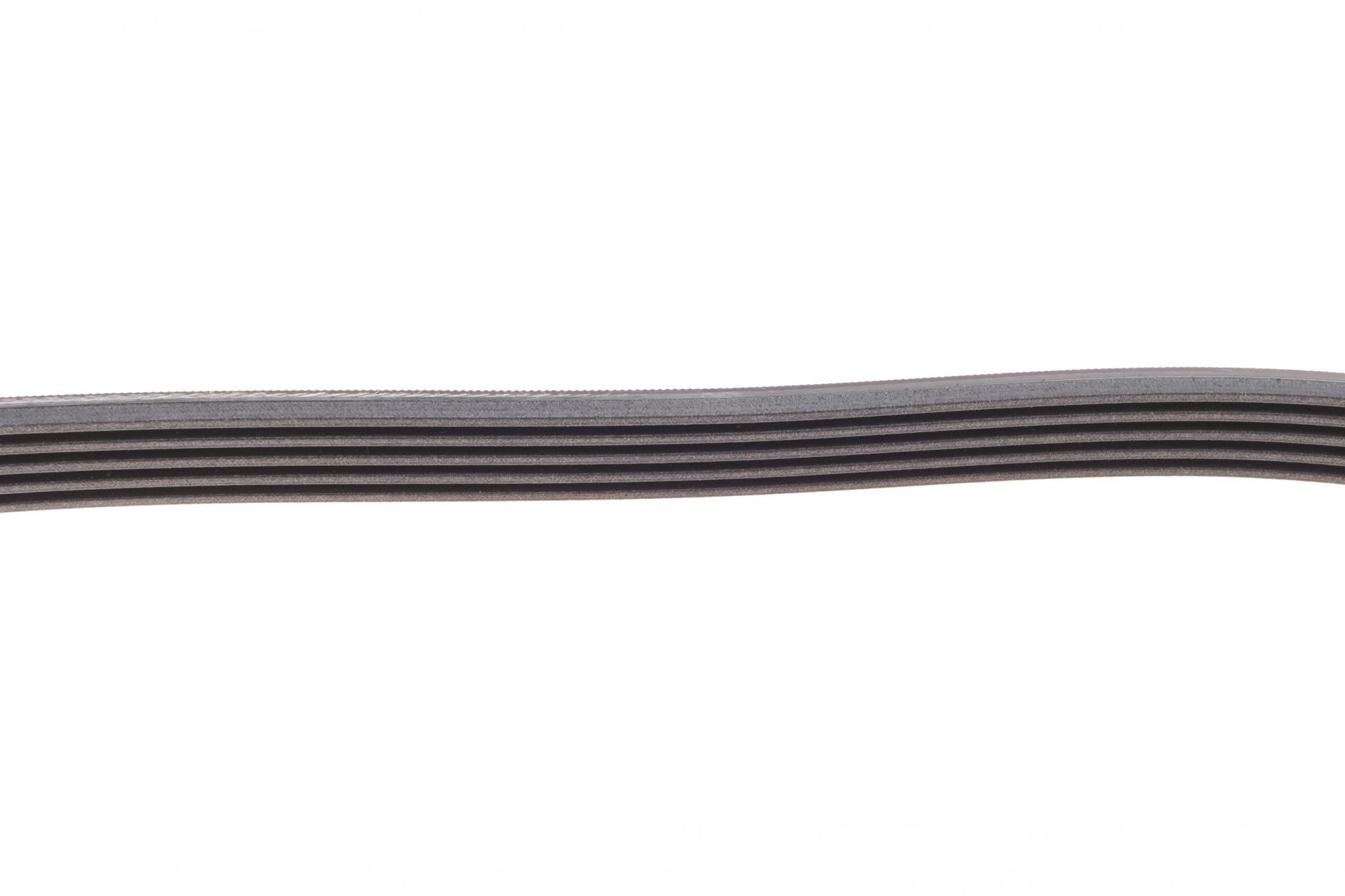 5PK950 CONTITECH