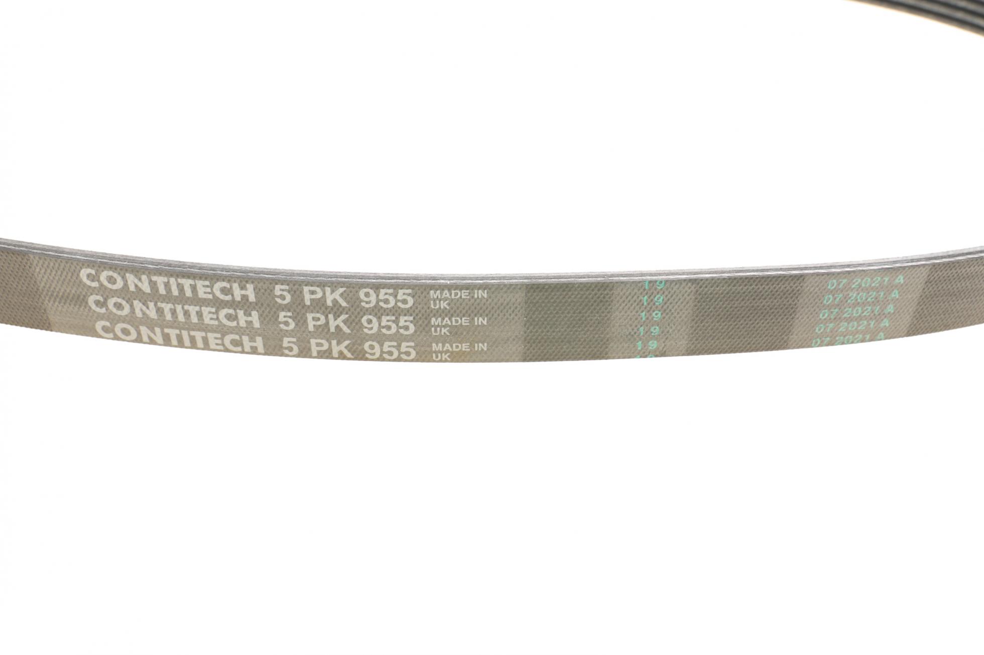 5PK955 CONTITECH