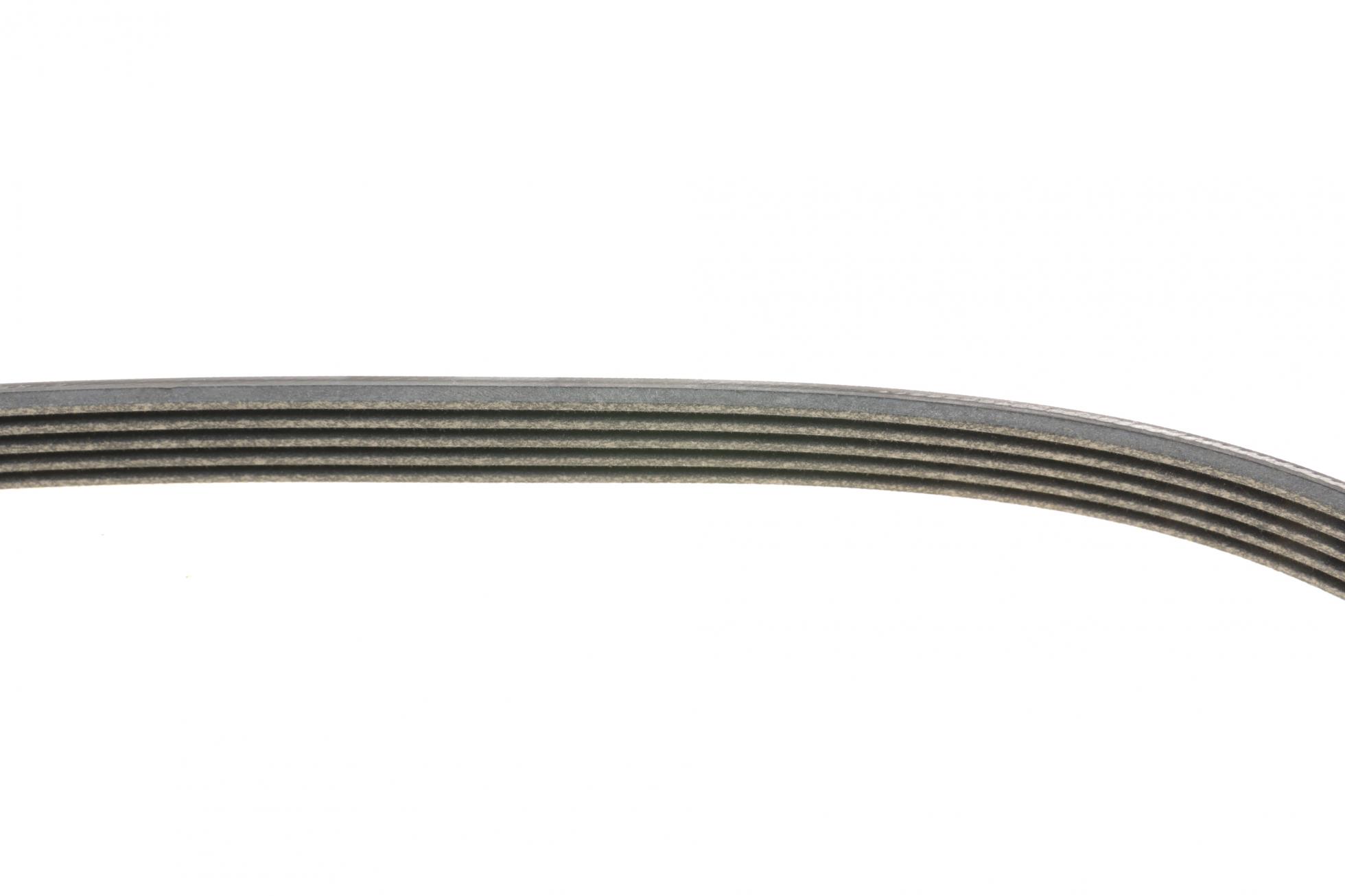 5PK955 CONTITECH