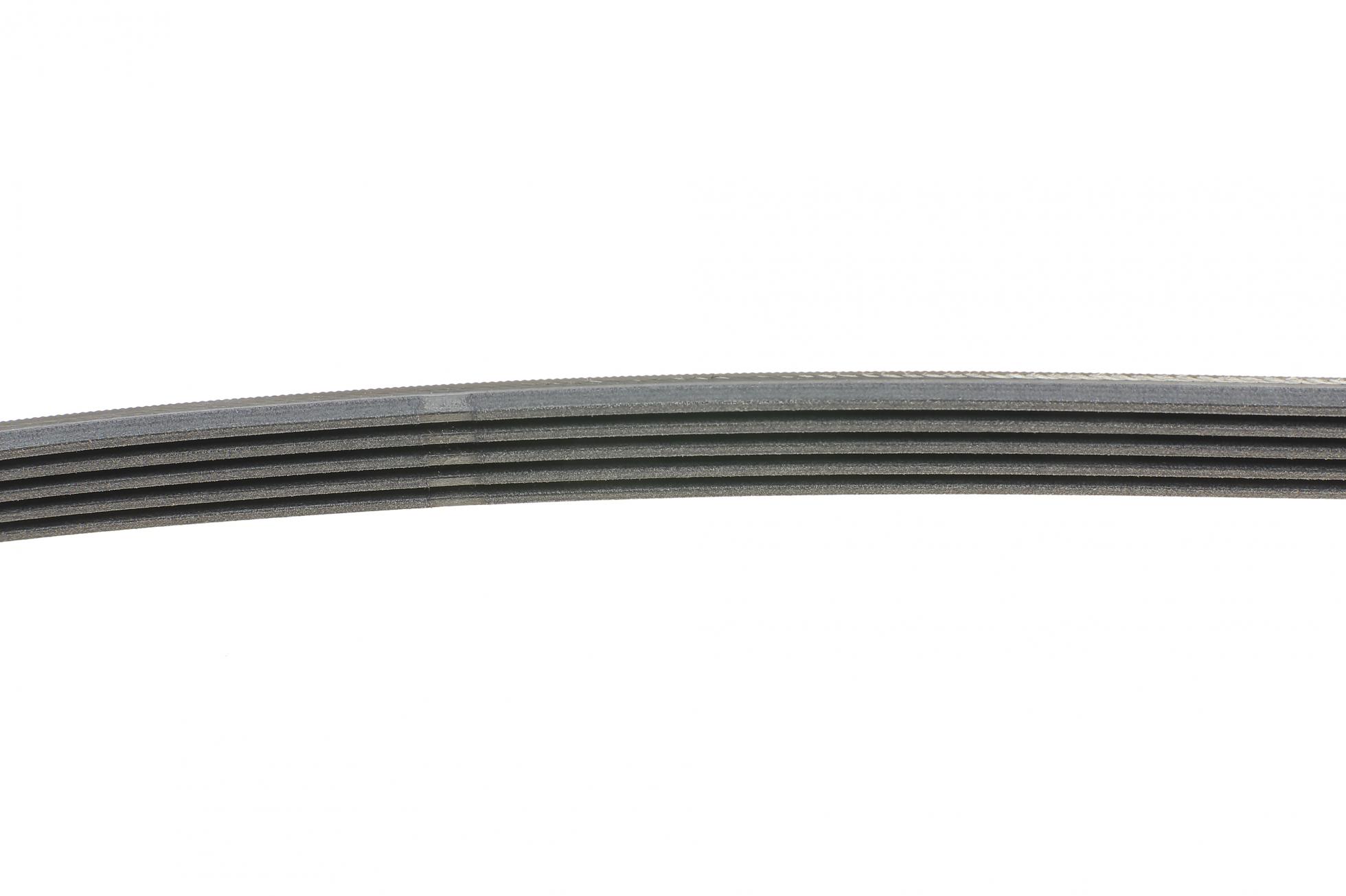 5PK962 CONTITECH