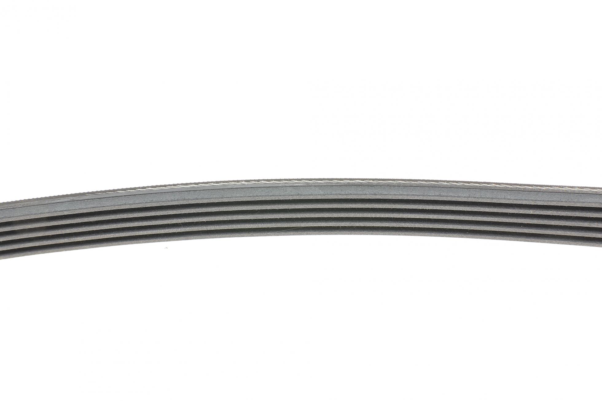 5PK970 CONTITECH