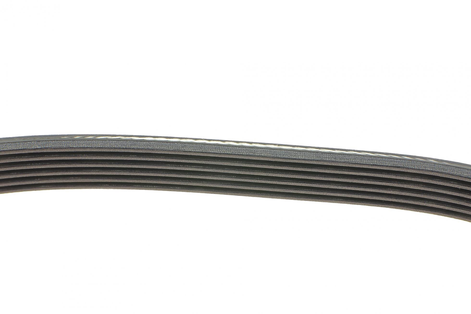 6PK1013 DAYCO