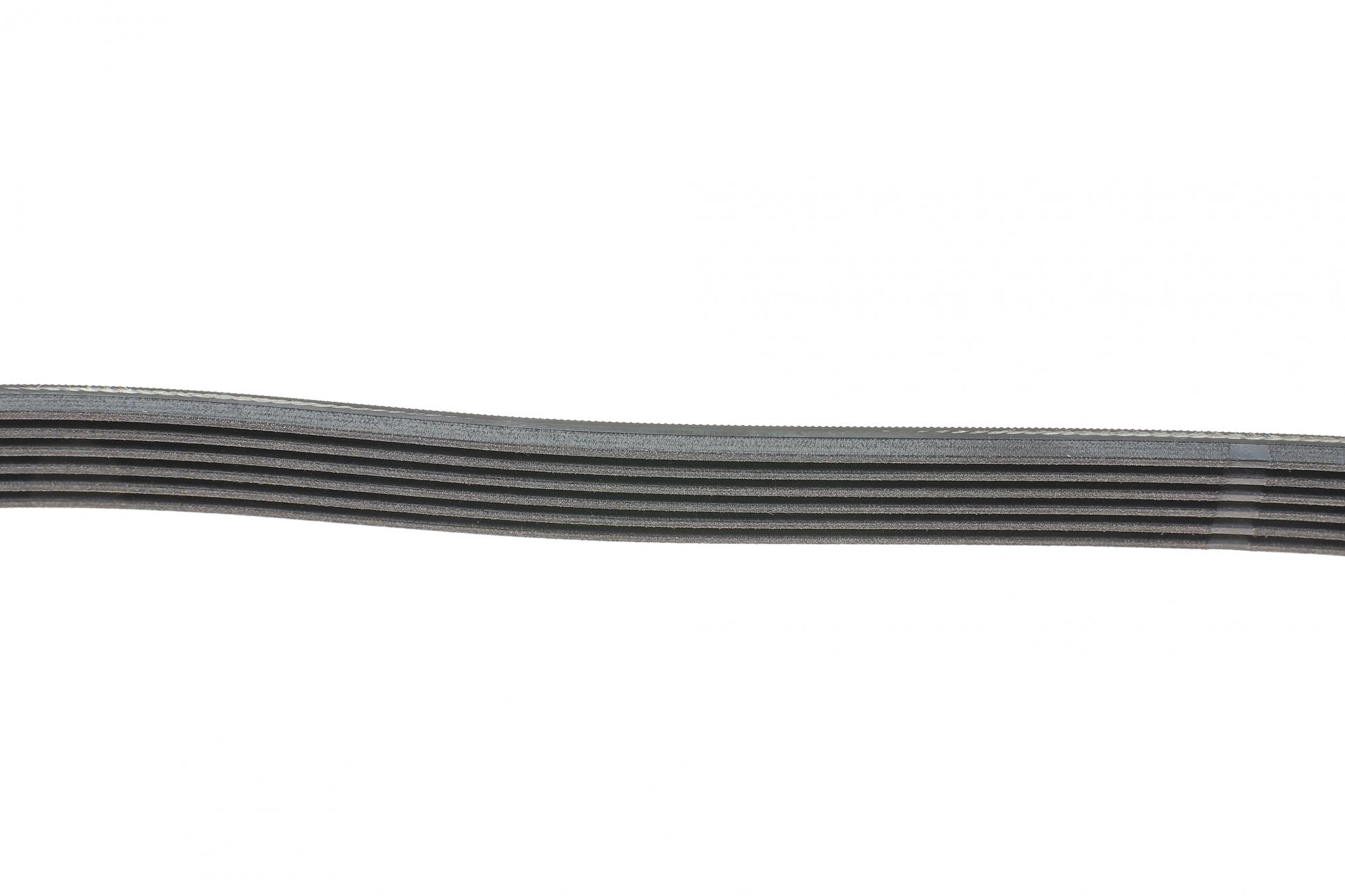 6PK1015 CONTITECH