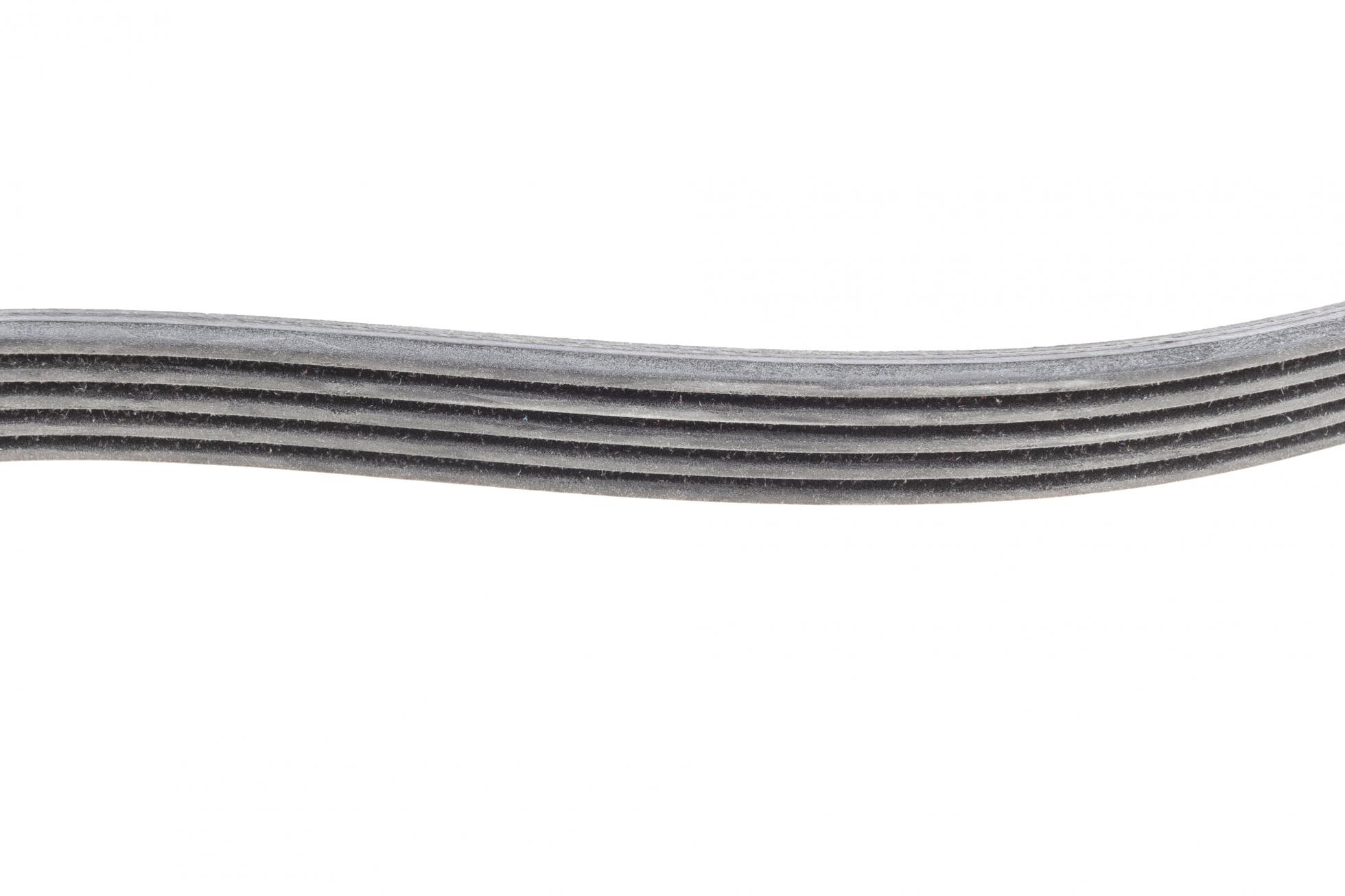 6PK1019ELASTT1 CONTITECH