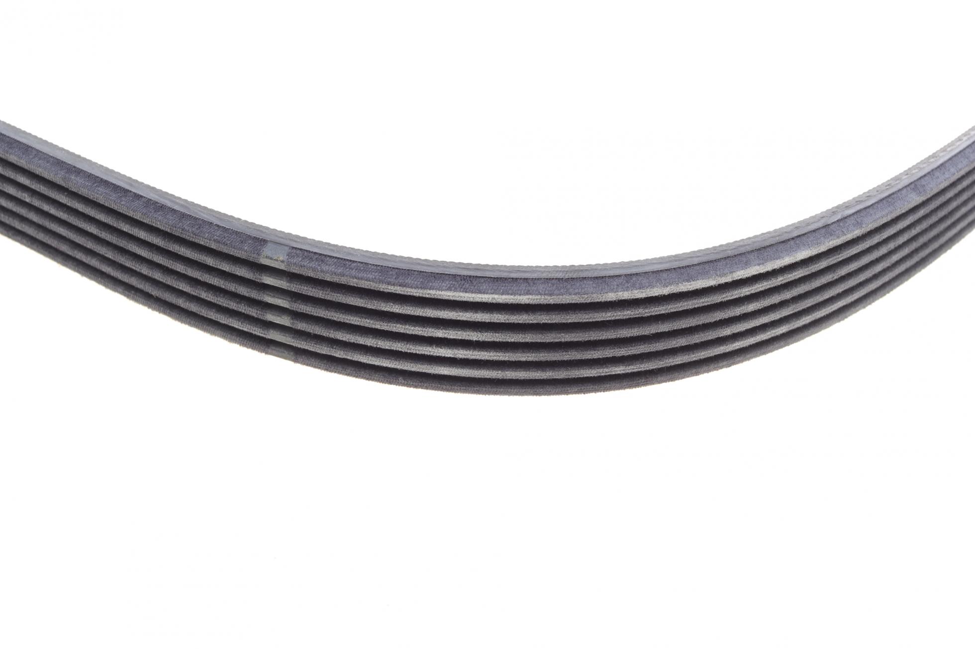 6PK1019ELASTT1 CONTITECH