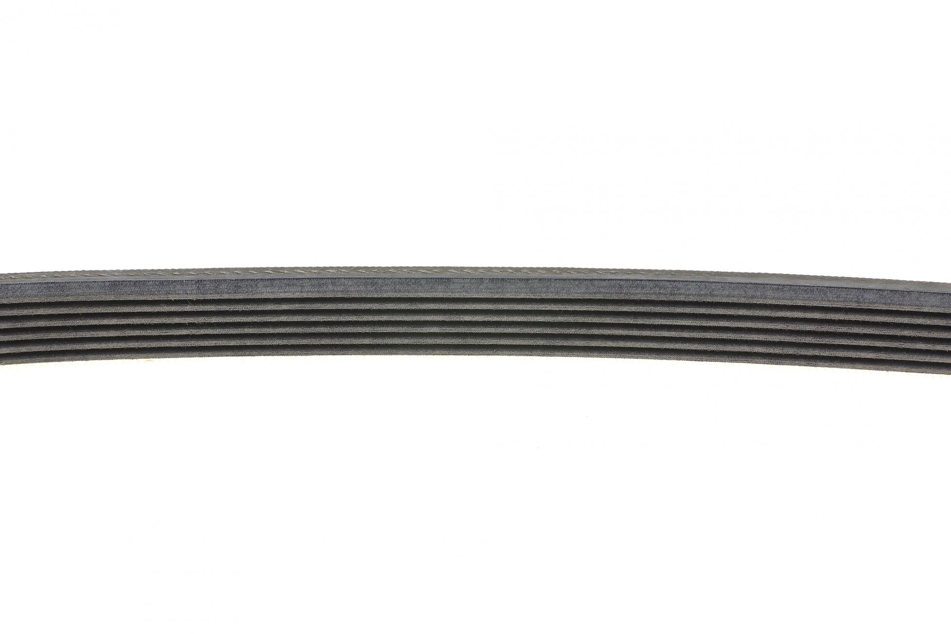 6PK1019ELAST CONTITECH