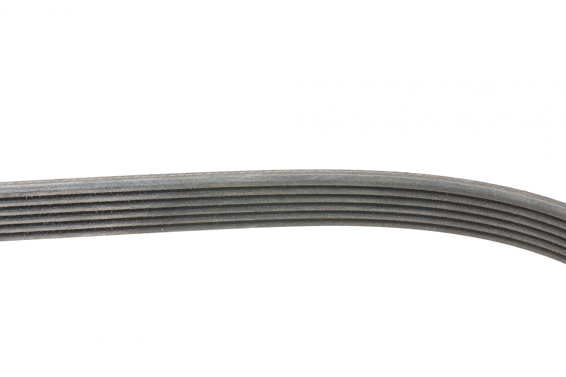 6PK1033ELAST CONTITECH