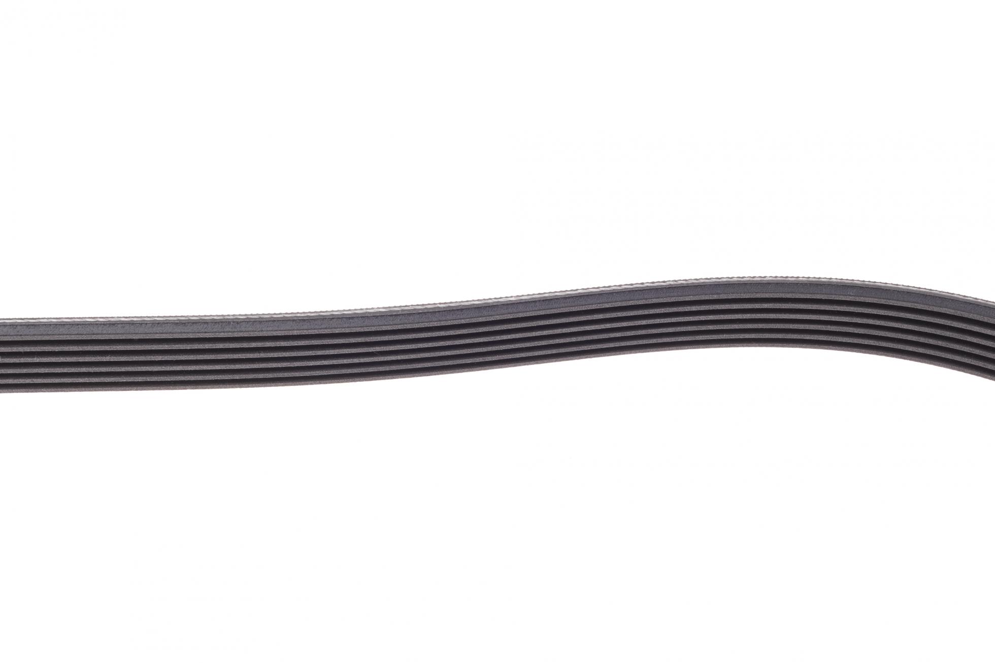 6PK1115 CONTITECH