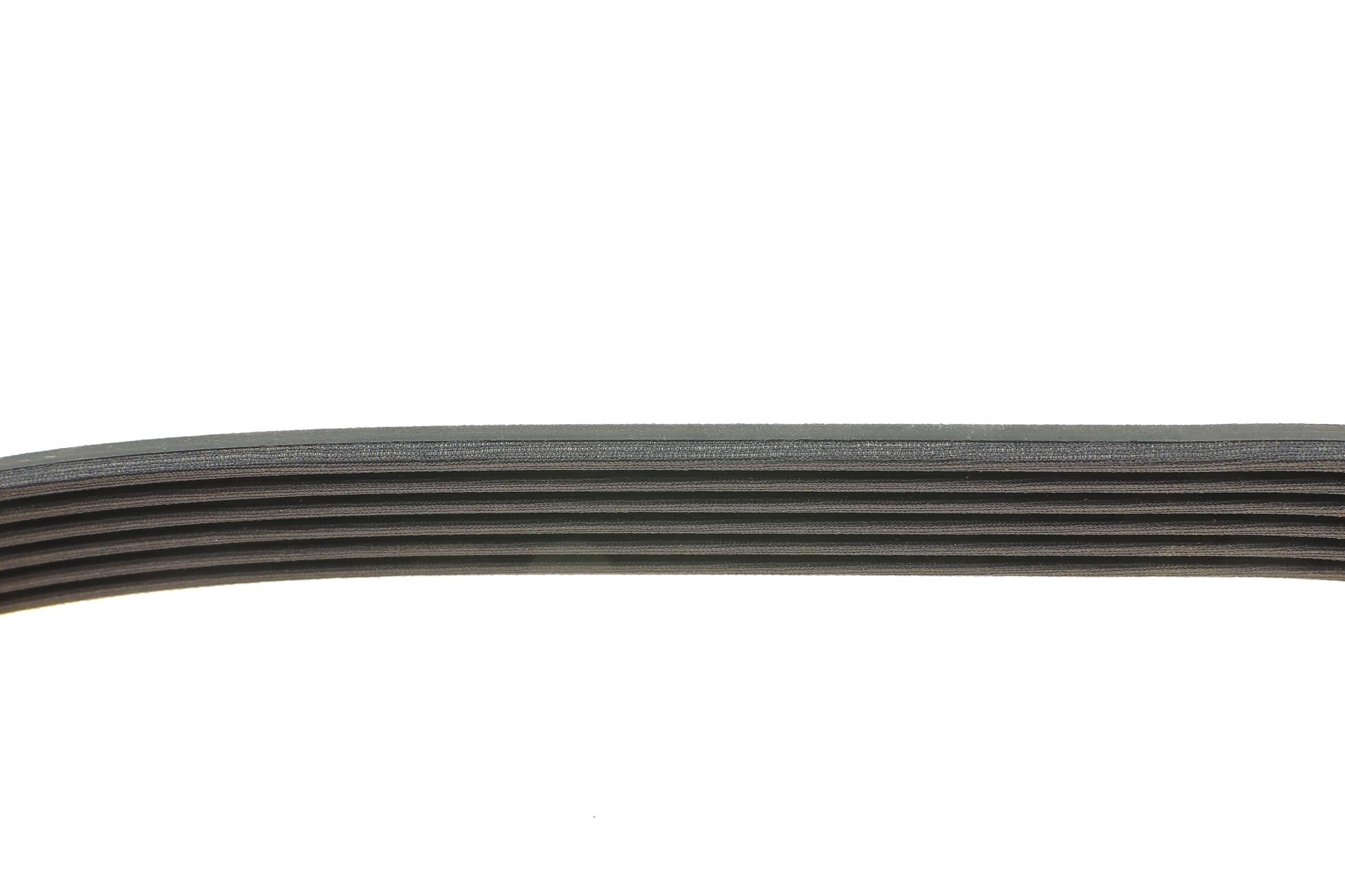 6PK1137 DAYCO