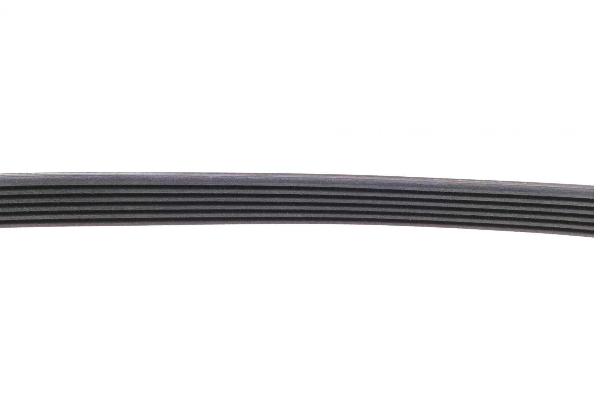 6PK1145 CONTITECH