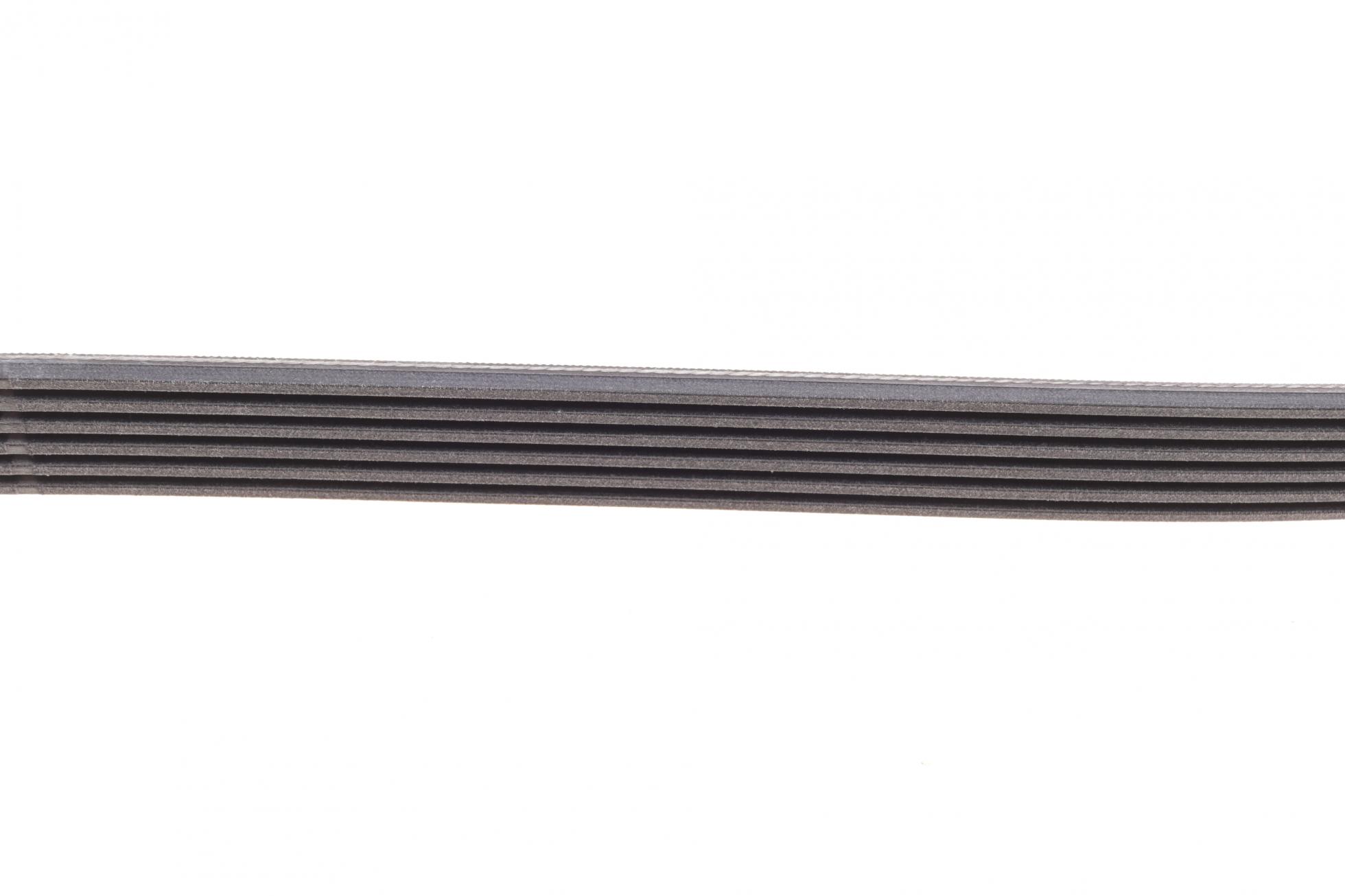 6PK1185 CONTITECH
