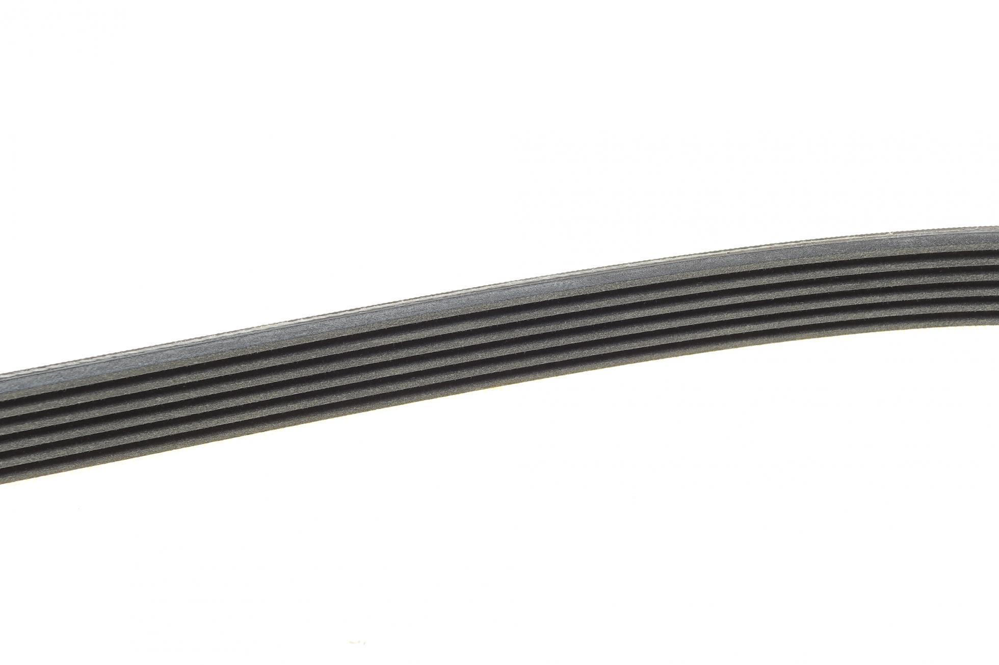 6PK1195 CONTITECH