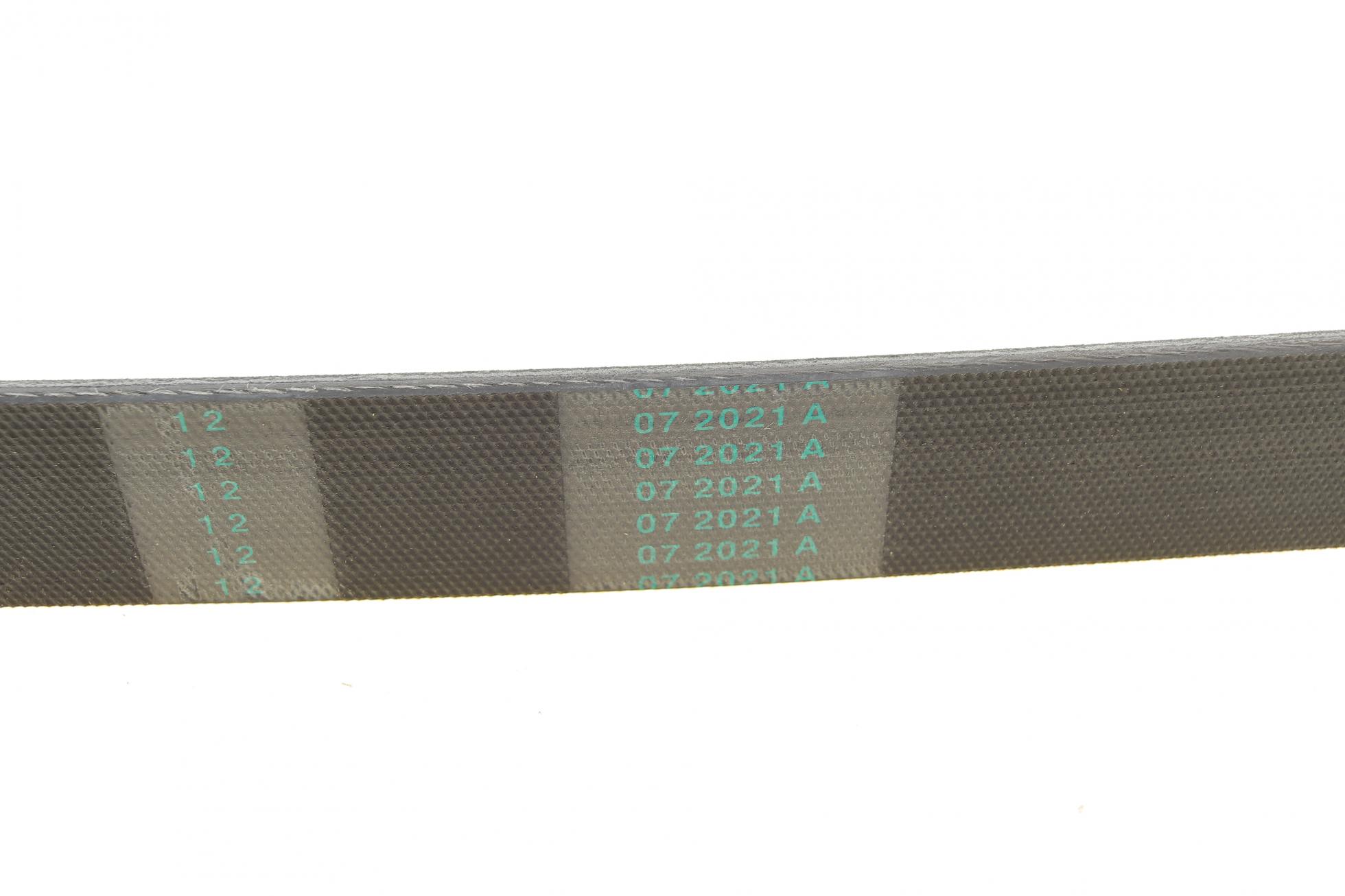 6PK1195 CONTITECH