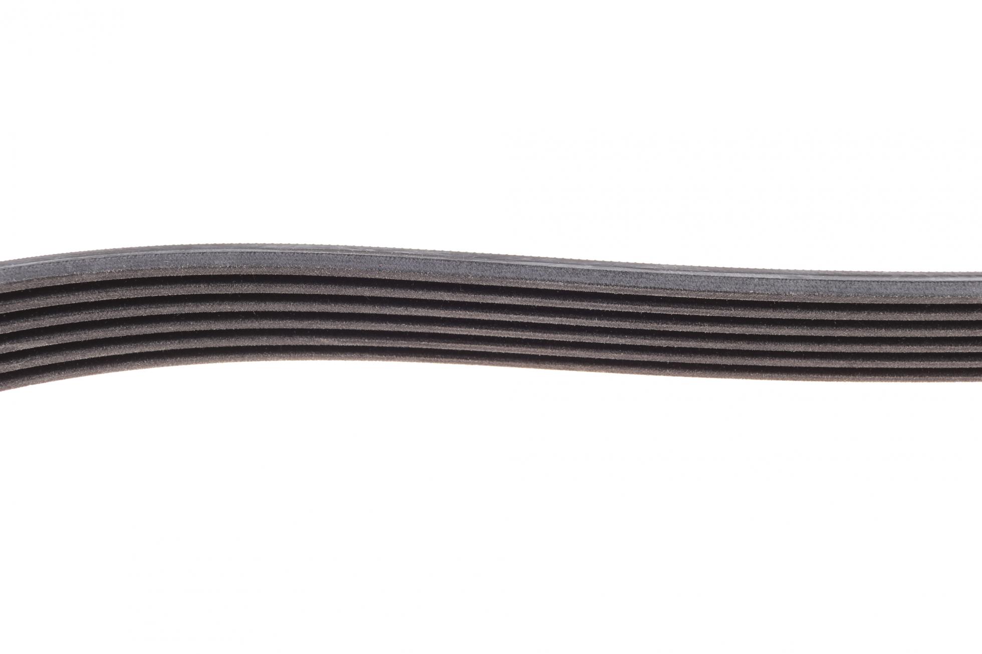 6PK1244 CONTITECH