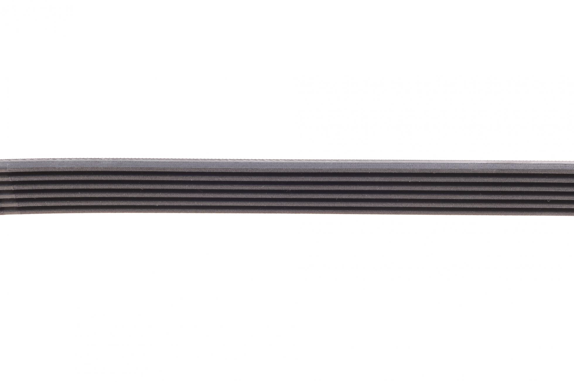 6PK1250 CONTITECH