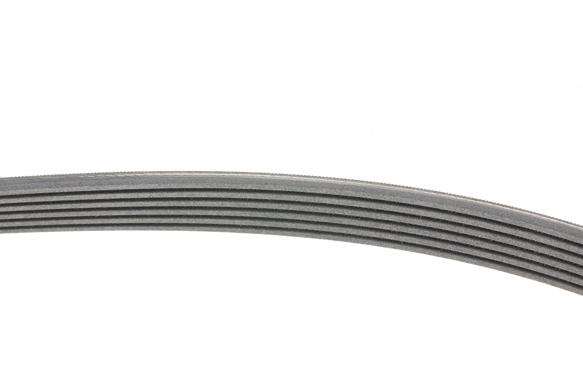 6PK1256 CONTITECH