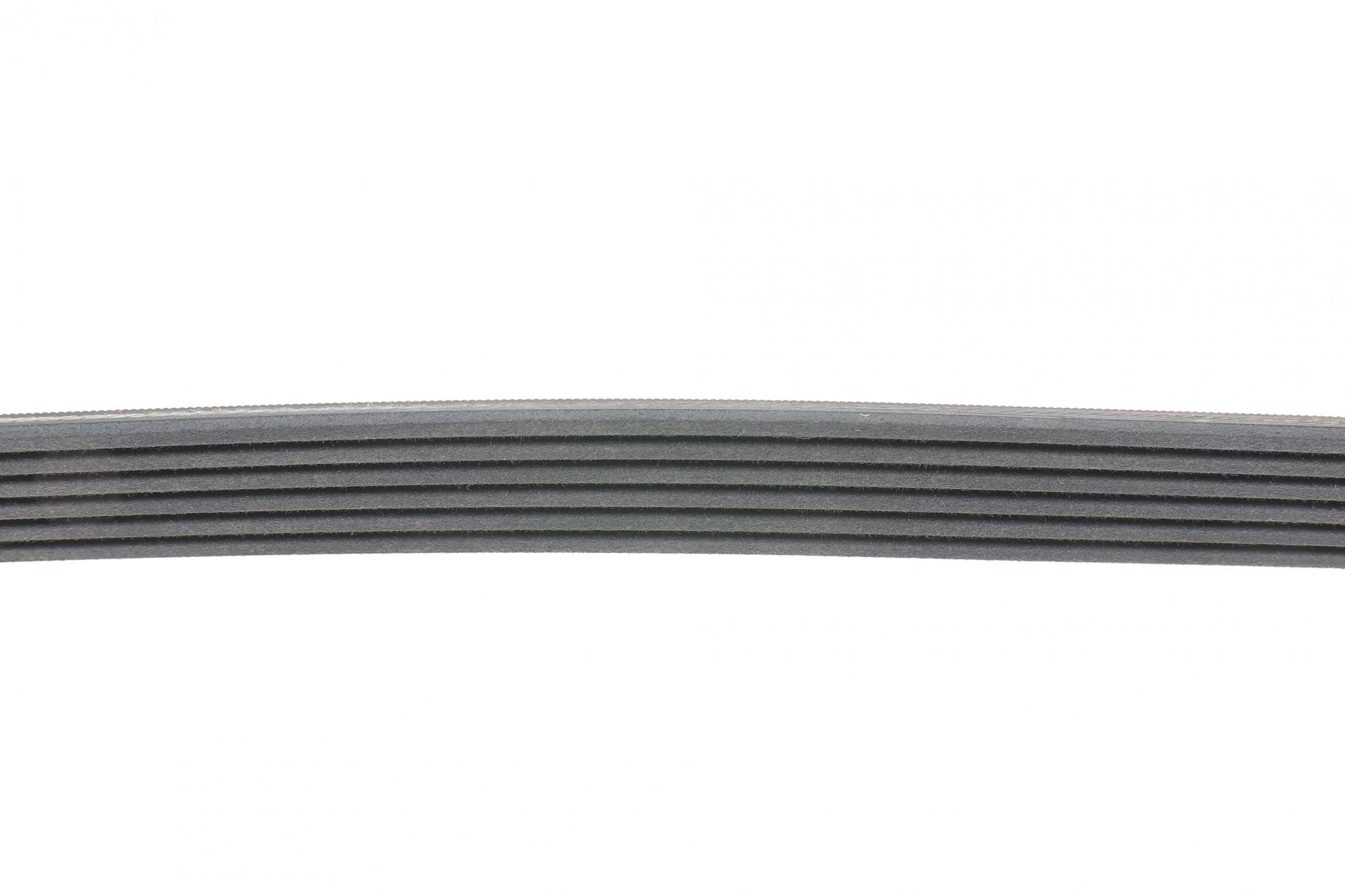 6PK1264 CONTITECH