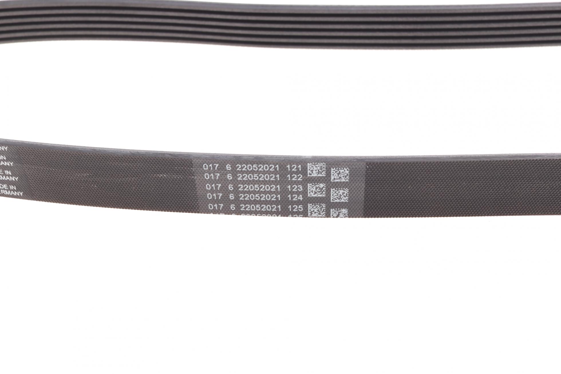 6PK1318 CONTITECH
