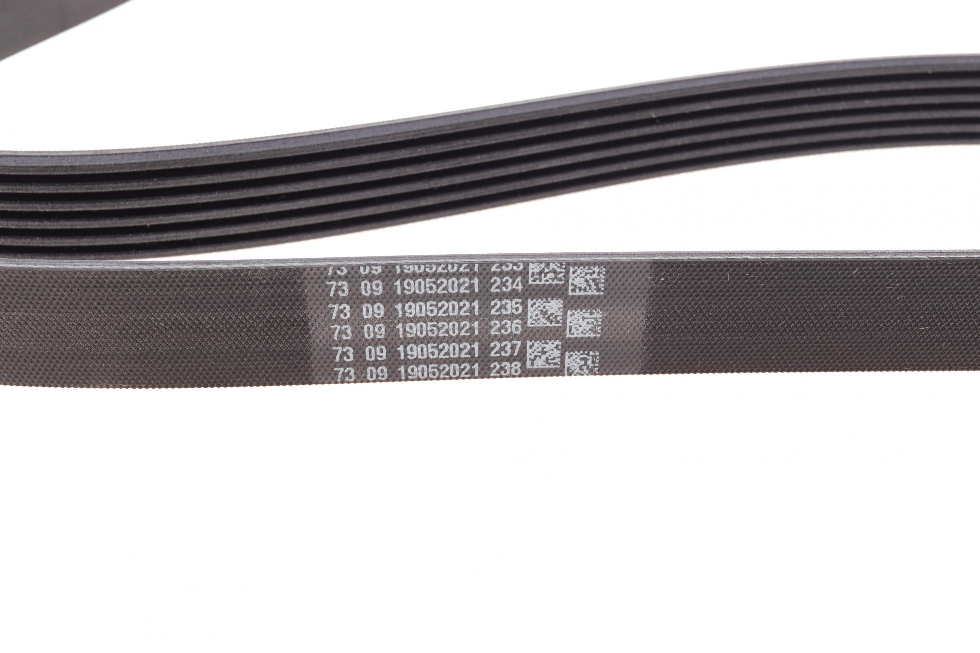 6PK1453 CONTITECH