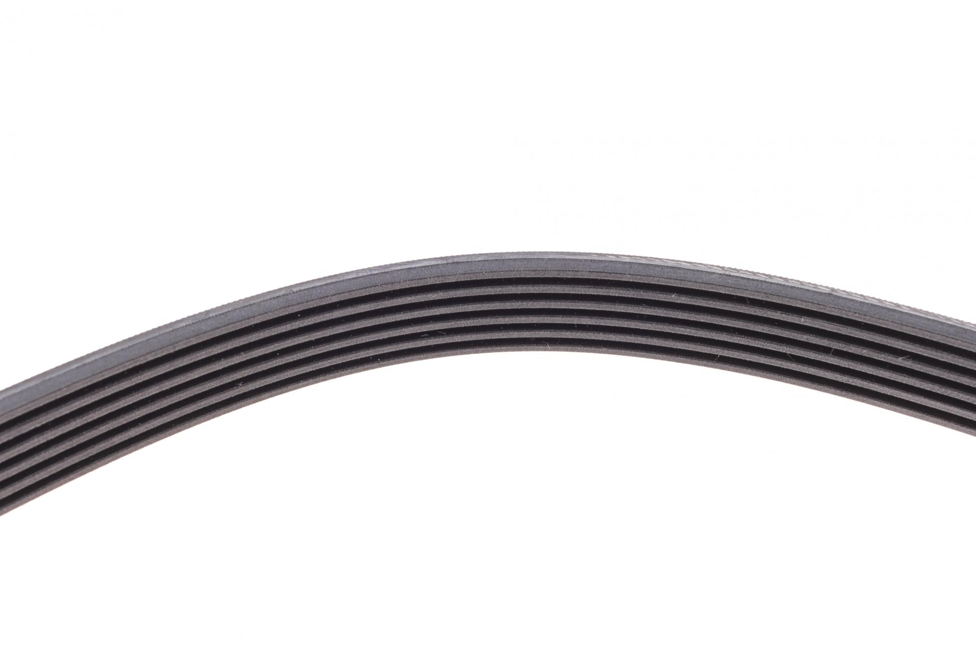 6PK1453 CONTITECH