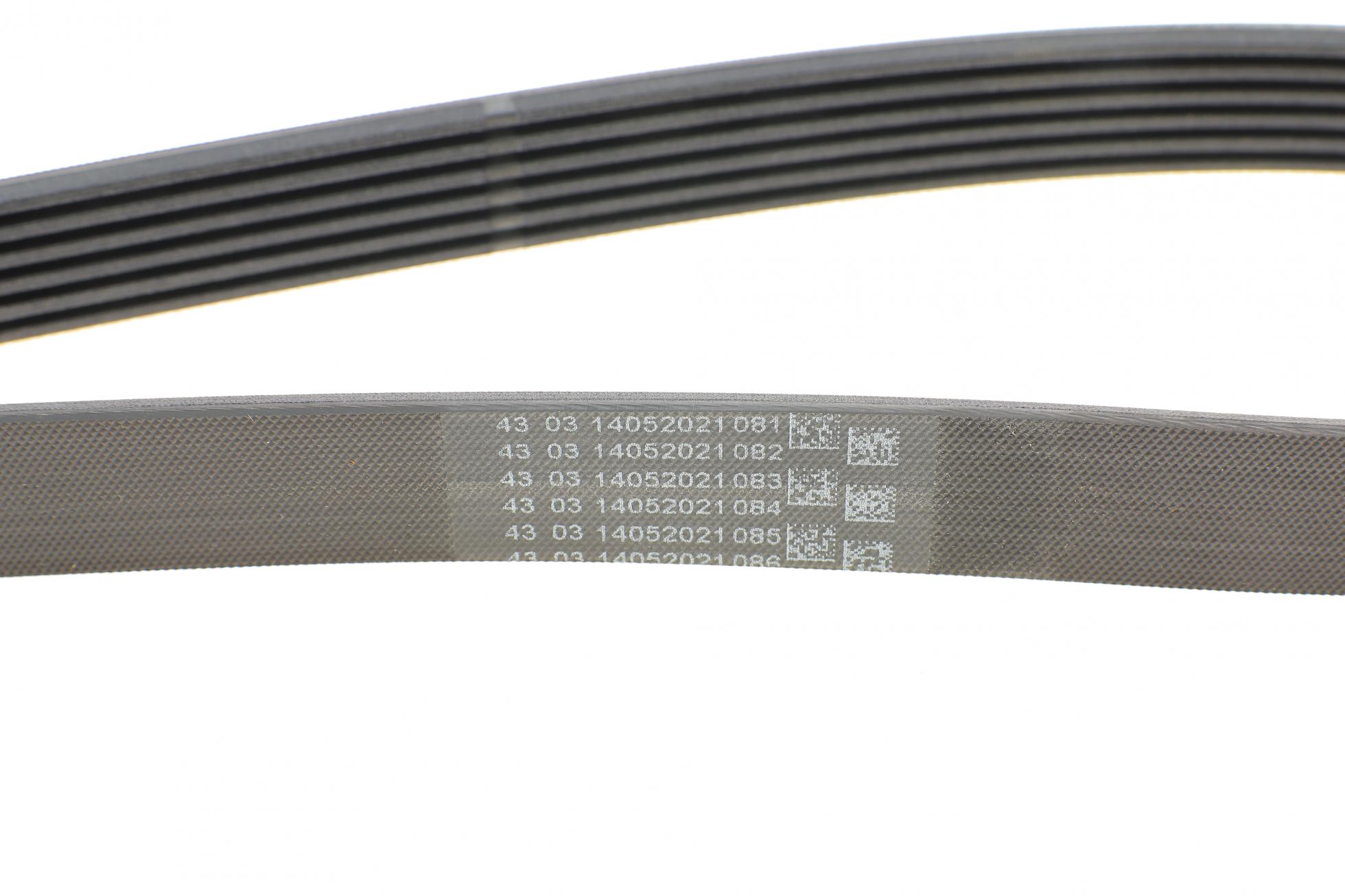 6PK1502EXTRA CONTITECH