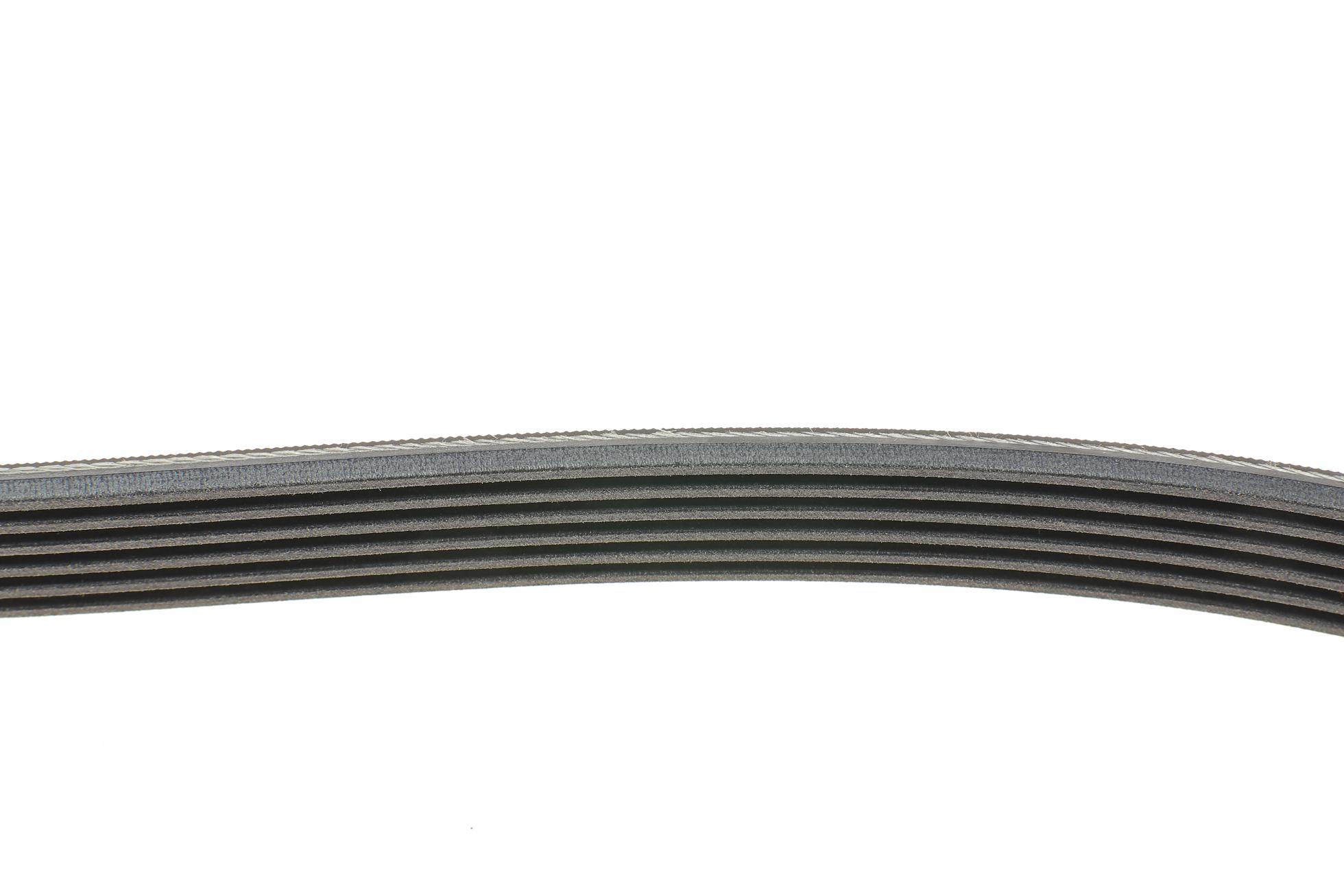 6PK1515 CONTITECH