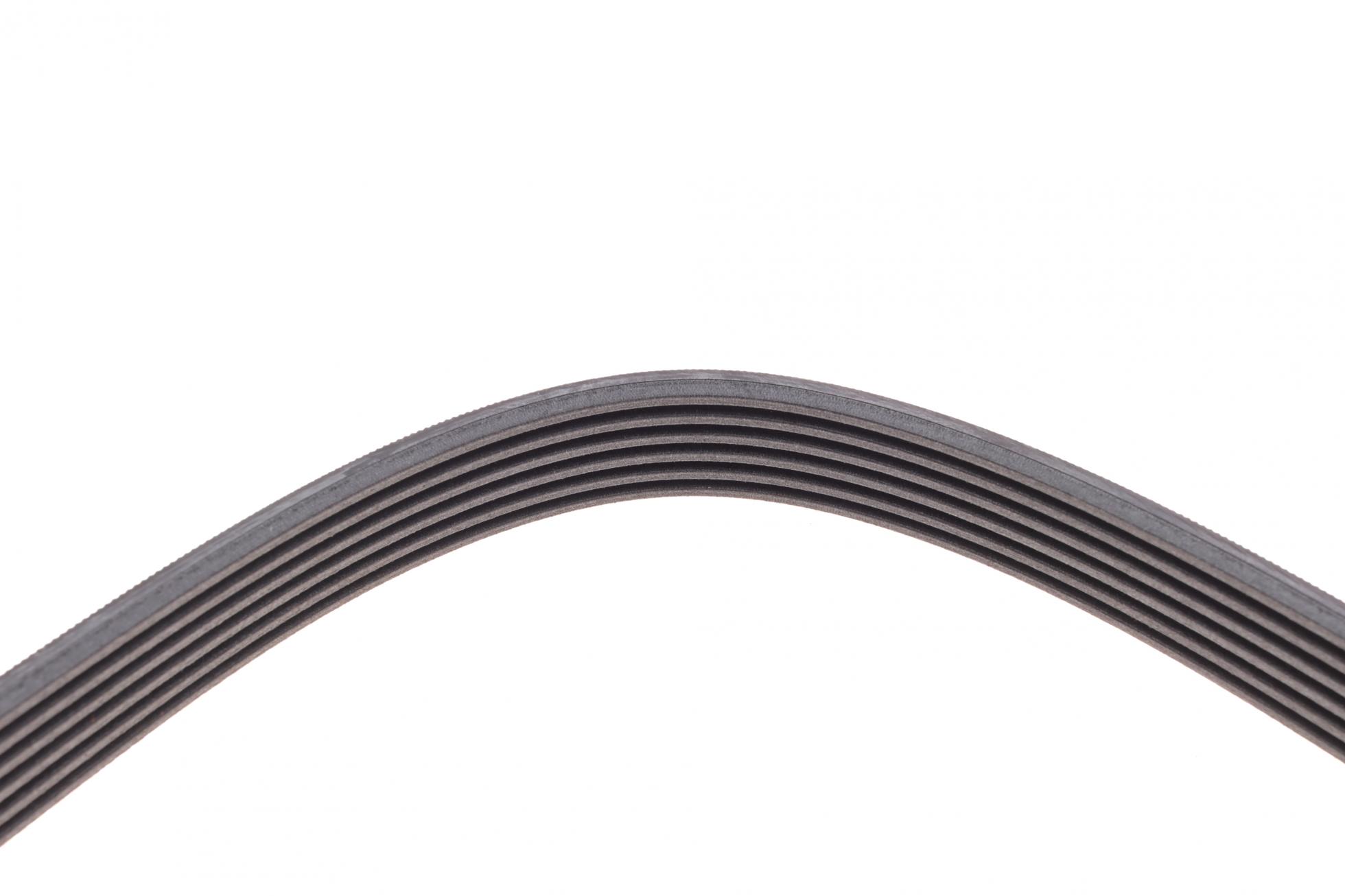6PK1538 CONTITECH