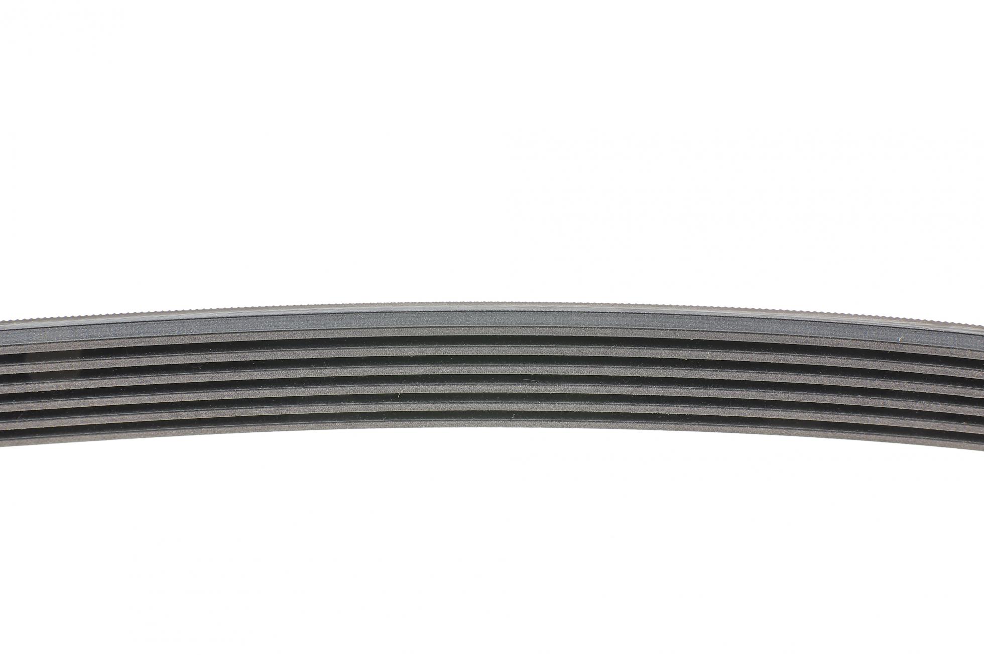 6PK1548 CONTITECH