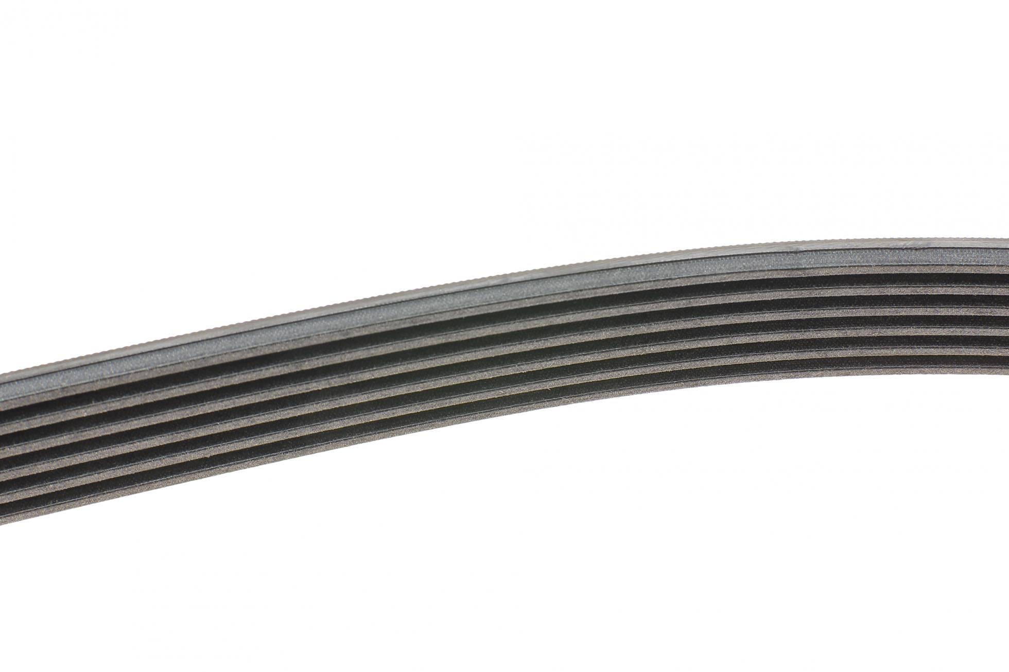 6PK1555 CONTITECH