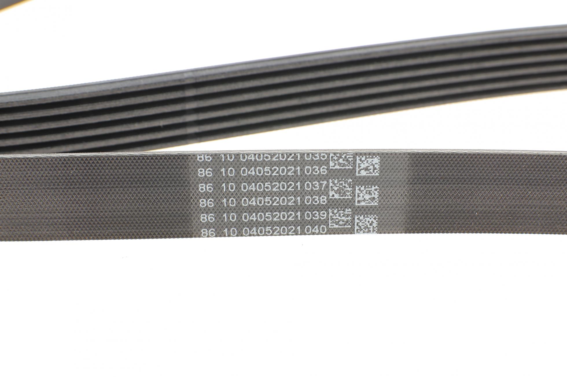 6PK1555 CONTITECH
