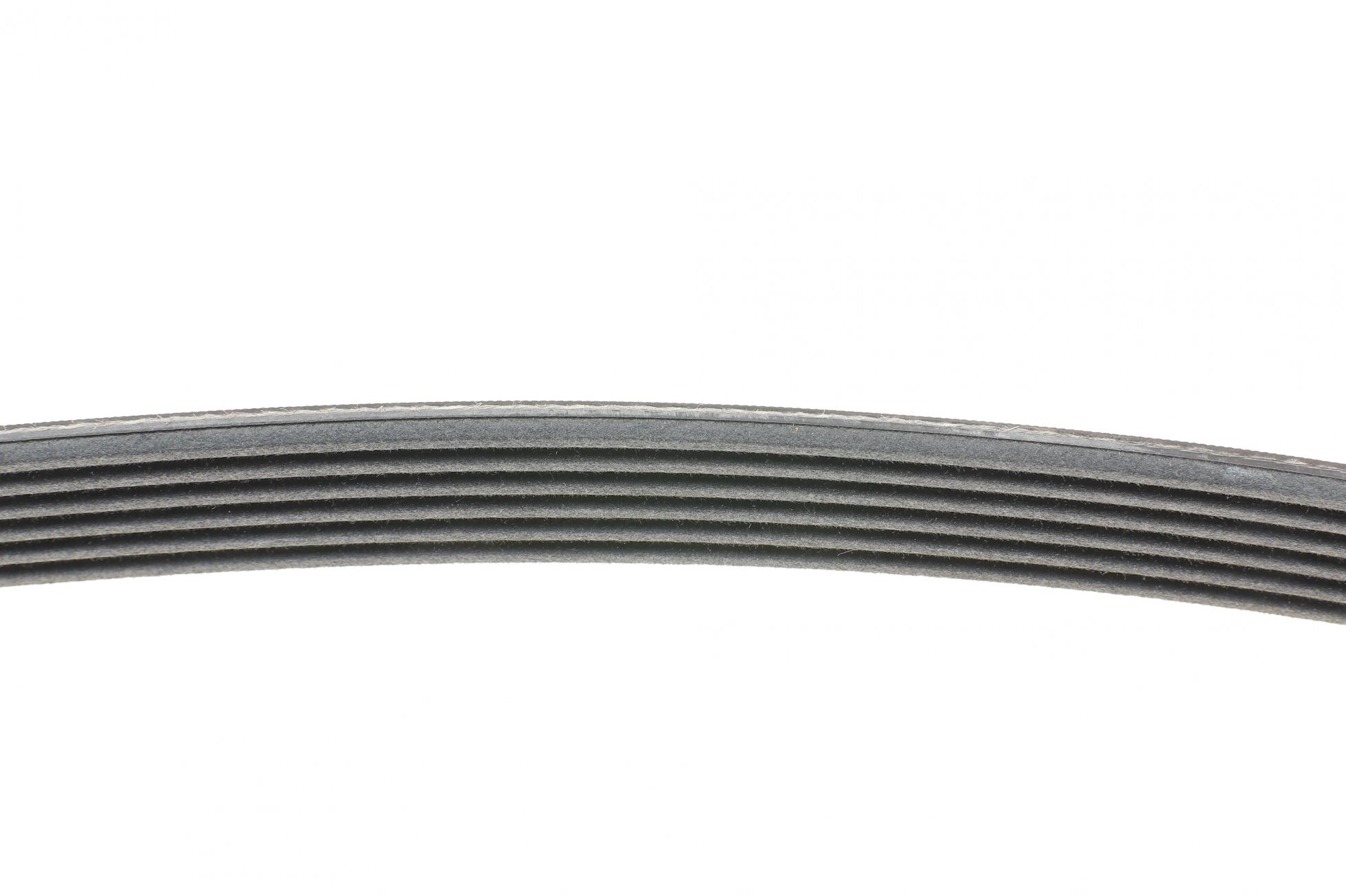 6PK1564 CONTITECH