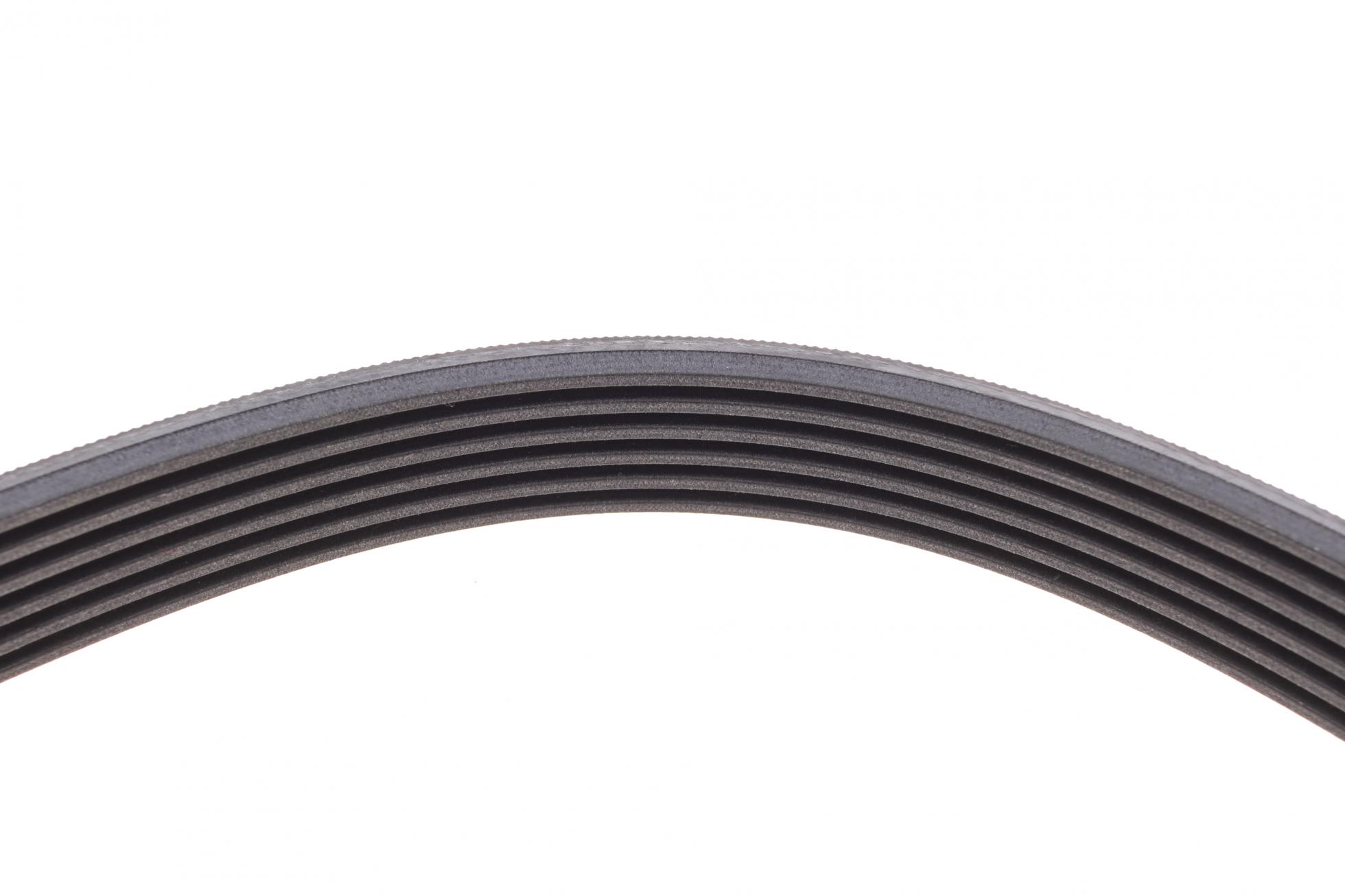 6PK1605 CONTITECH