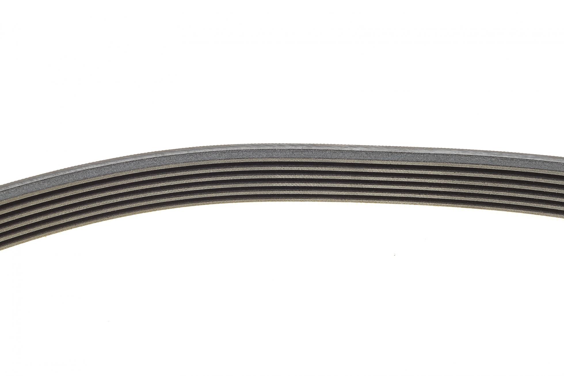 6PK1613K1 CONTITECH